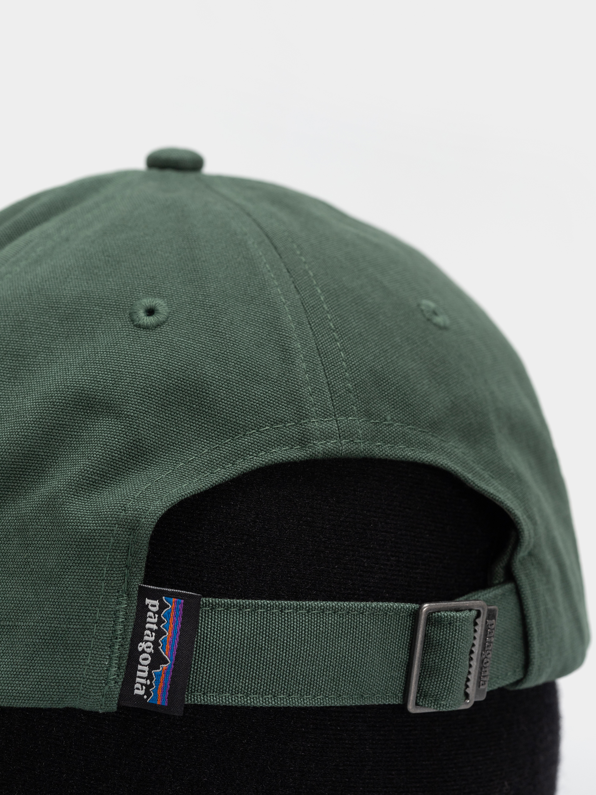 Patagonia P 6 Label Trad Cap (canopy green)