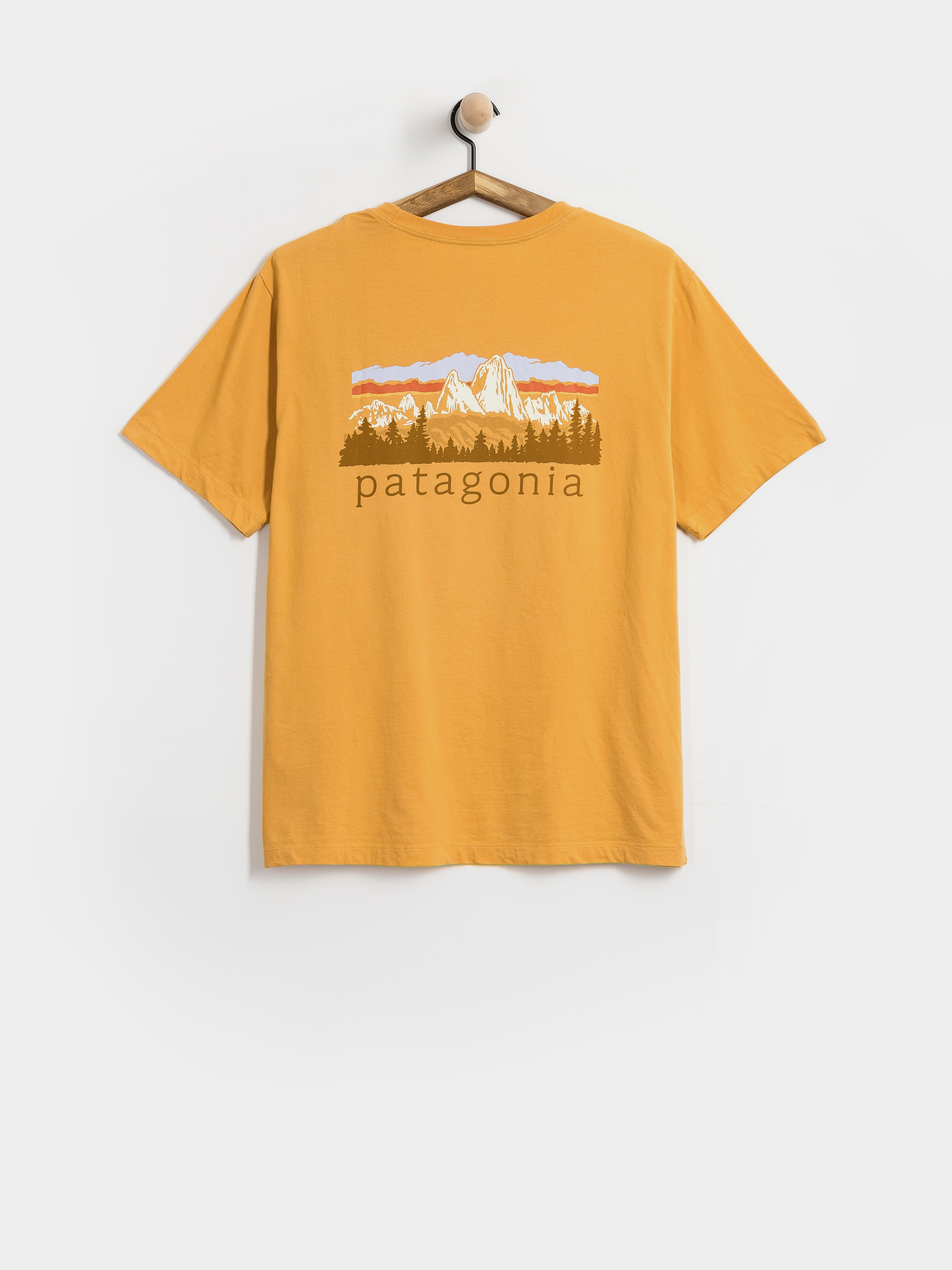 Patagonia Fitz Roy Foothills T-Shirt