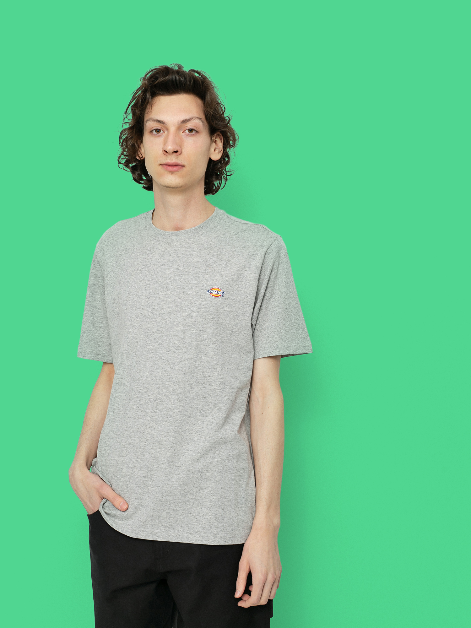 Dickies Mapleton T-shirt (grey melange)