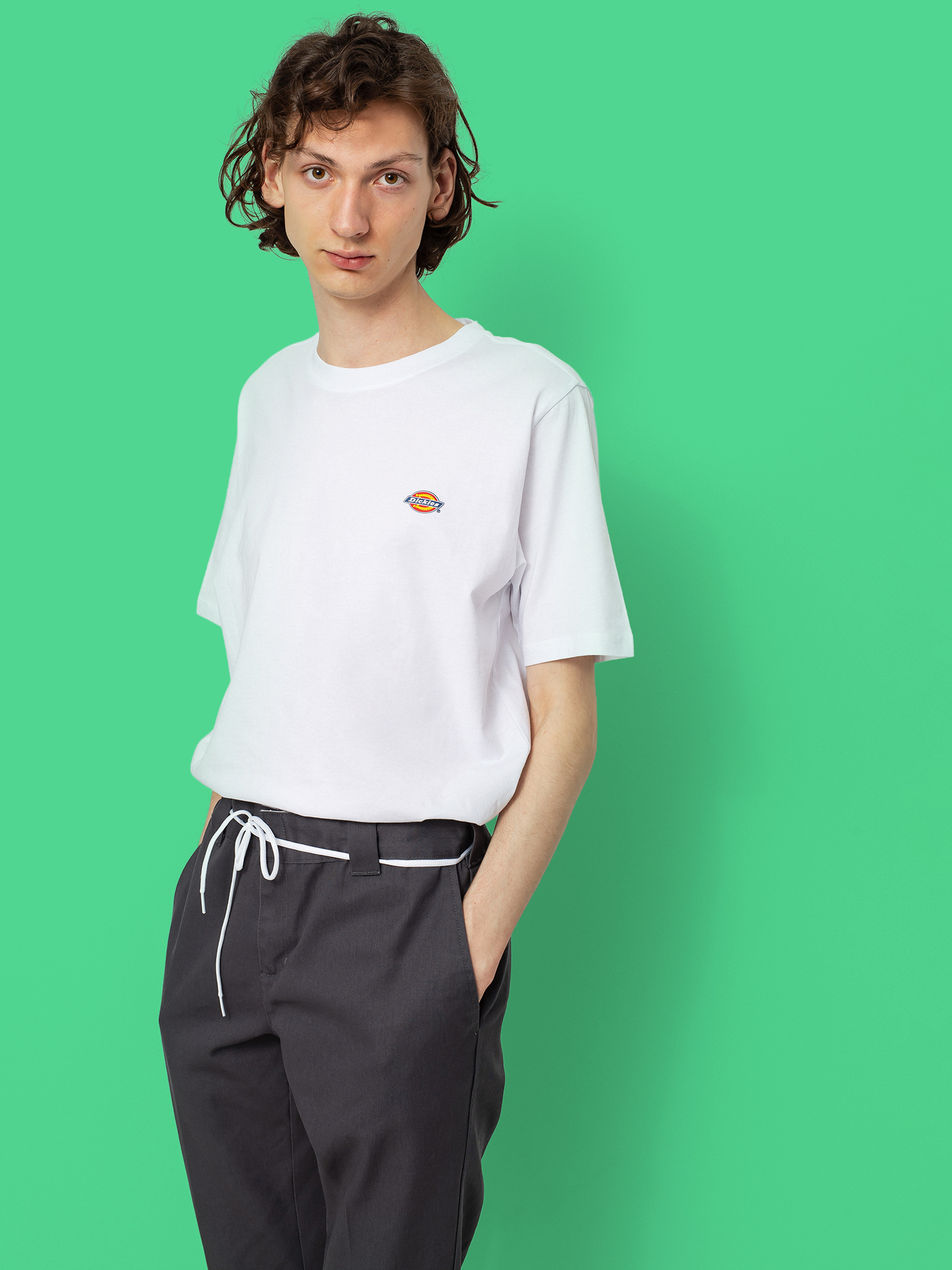 Dickies Mapleton T-shirt (white)