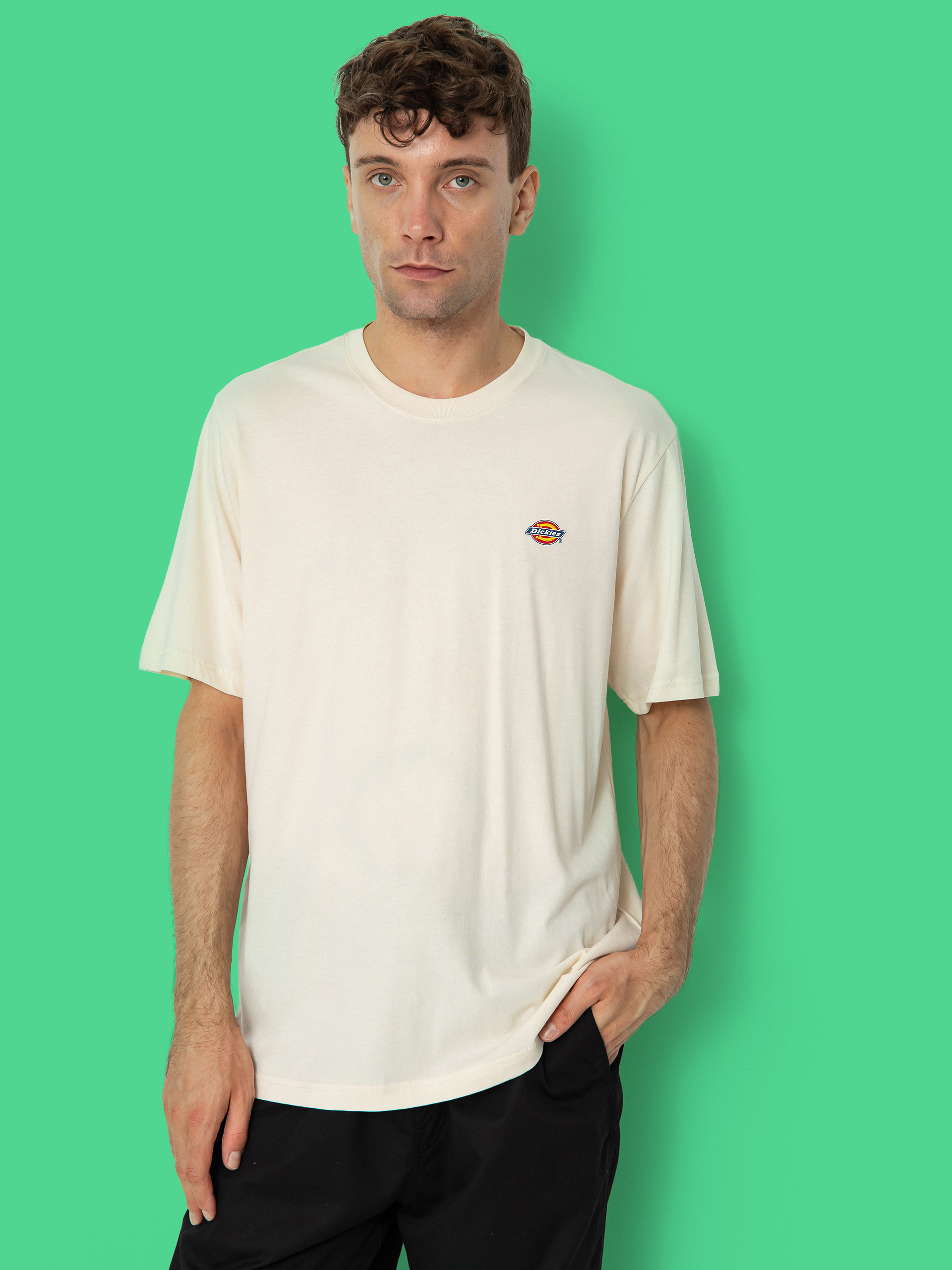 Dickies Mapleton T-shirt (whitecap gray)