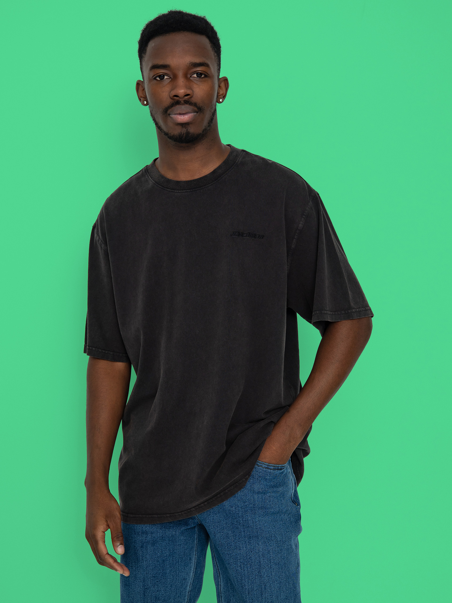 Dickies Plentywood T-Shirt (dble dye/acd bl)