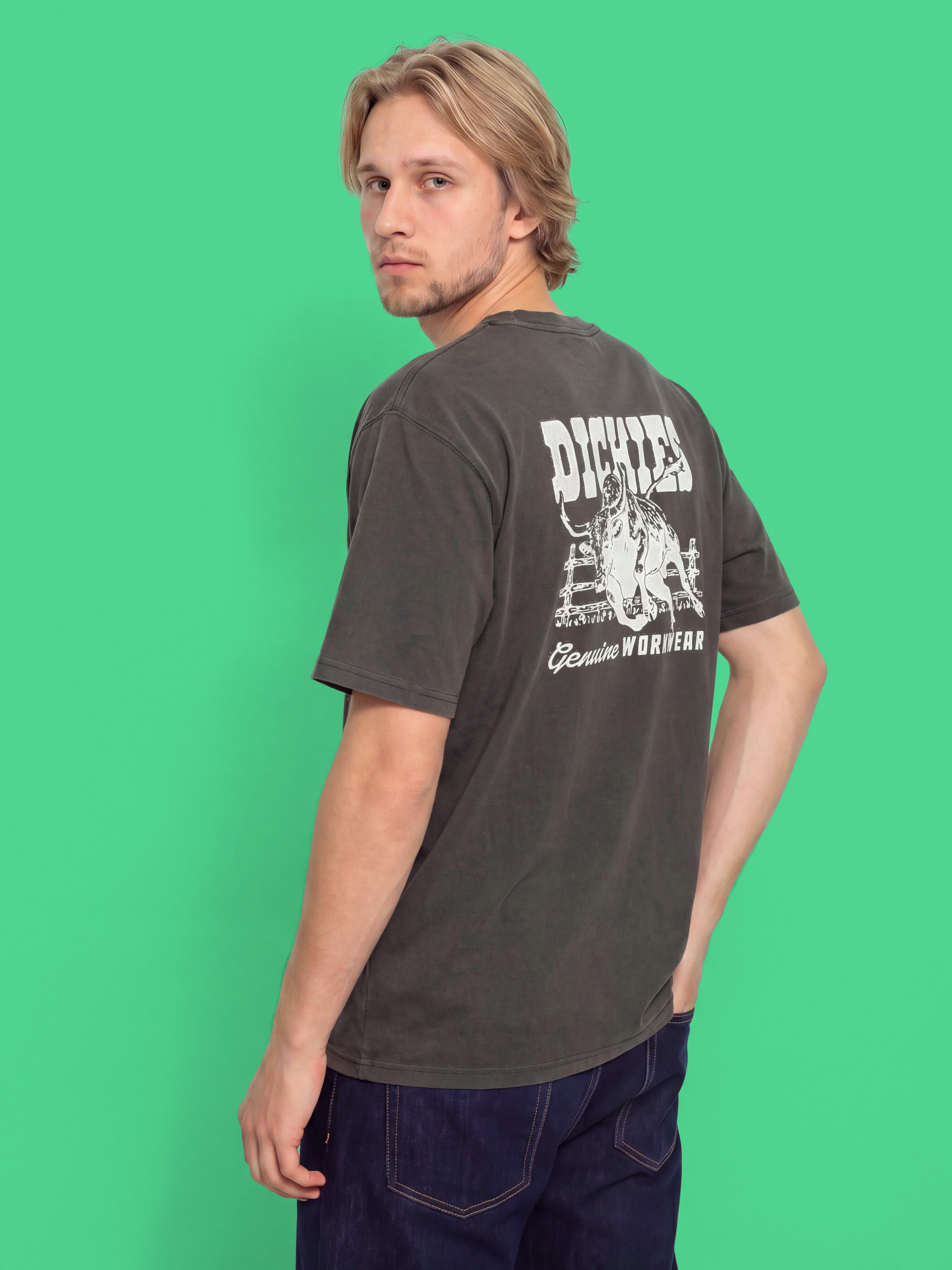 Dickies Buchtell T-Shirt (black)