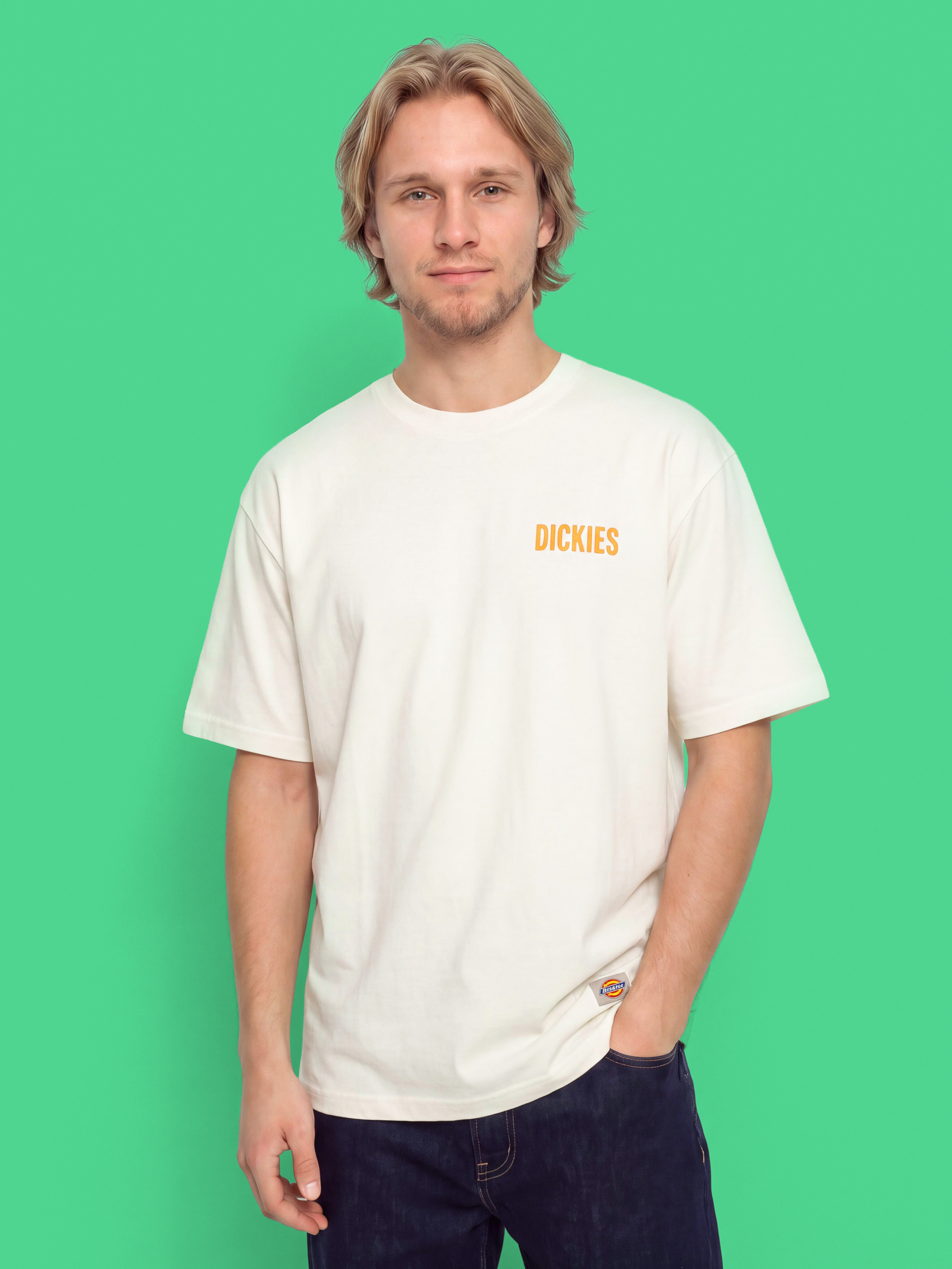 Dickies Wolfhurst T-Shirt (egret)