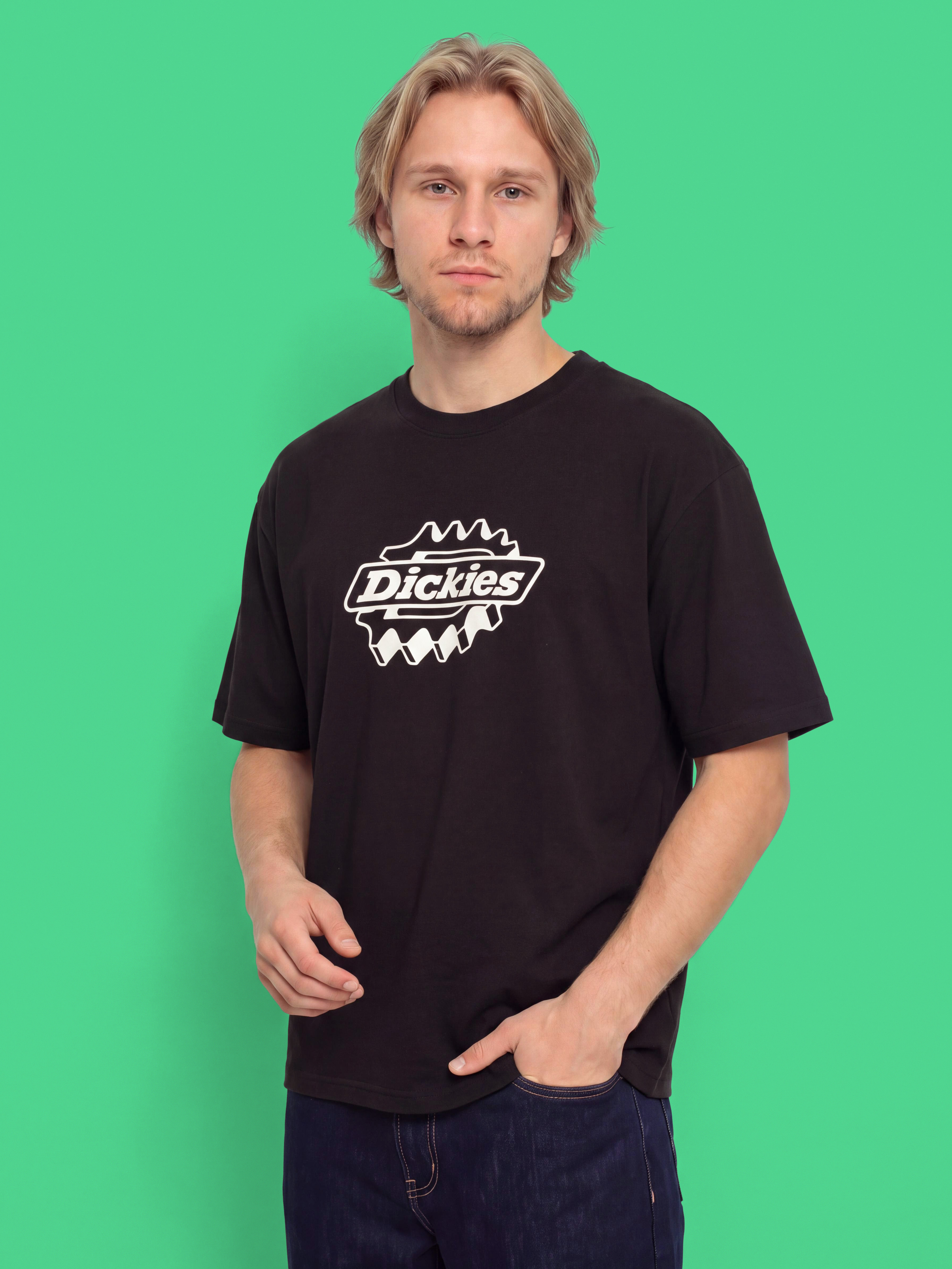 Dickies T-Shirt Irondale (black)