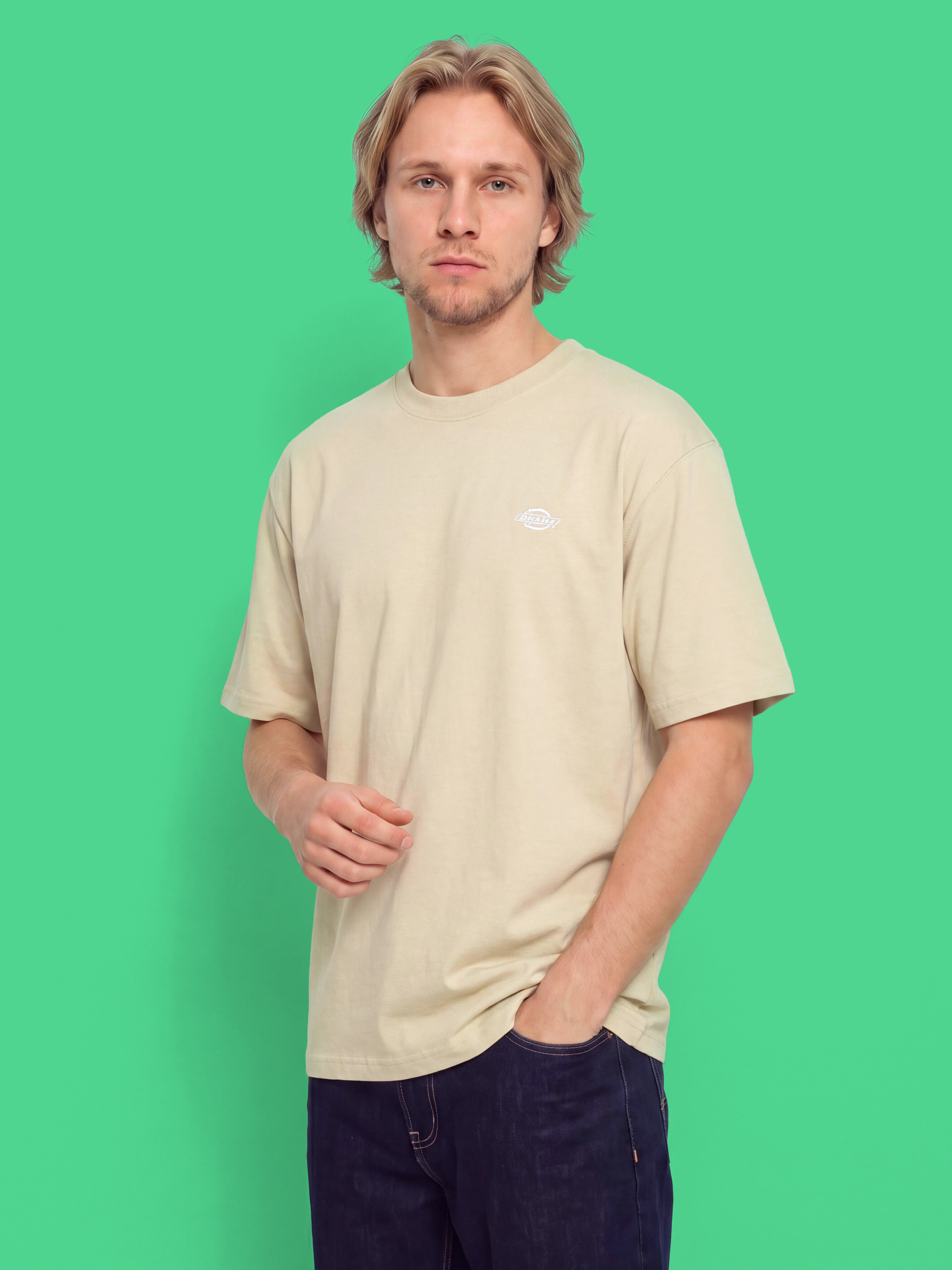 Dickies T-Shirt Summerdale (eucalyptus)