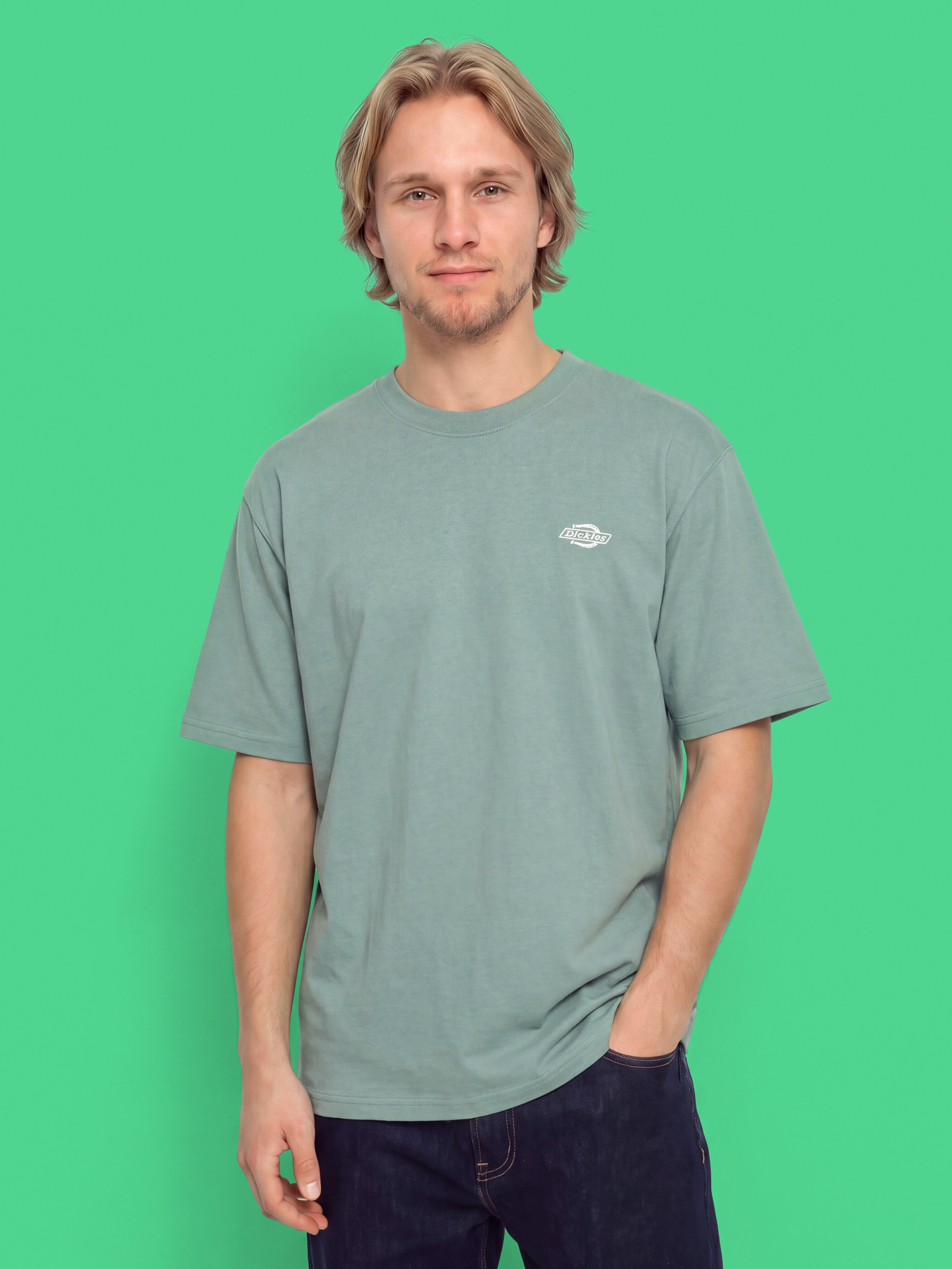 Dickies T-Shirt Summerdale (stormy sea)