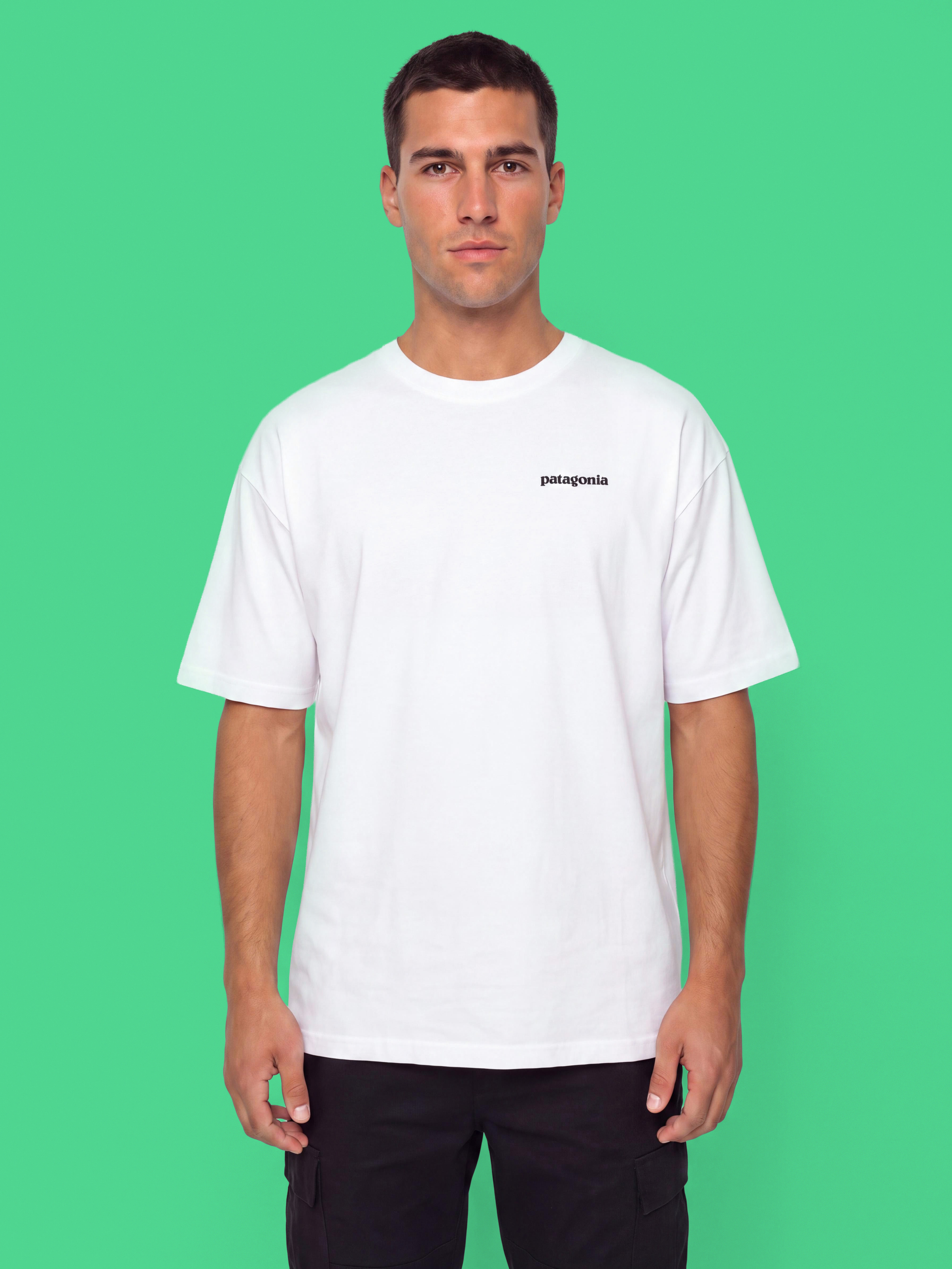 Patagonia P6 Logo Responsibili T-shirt (white)