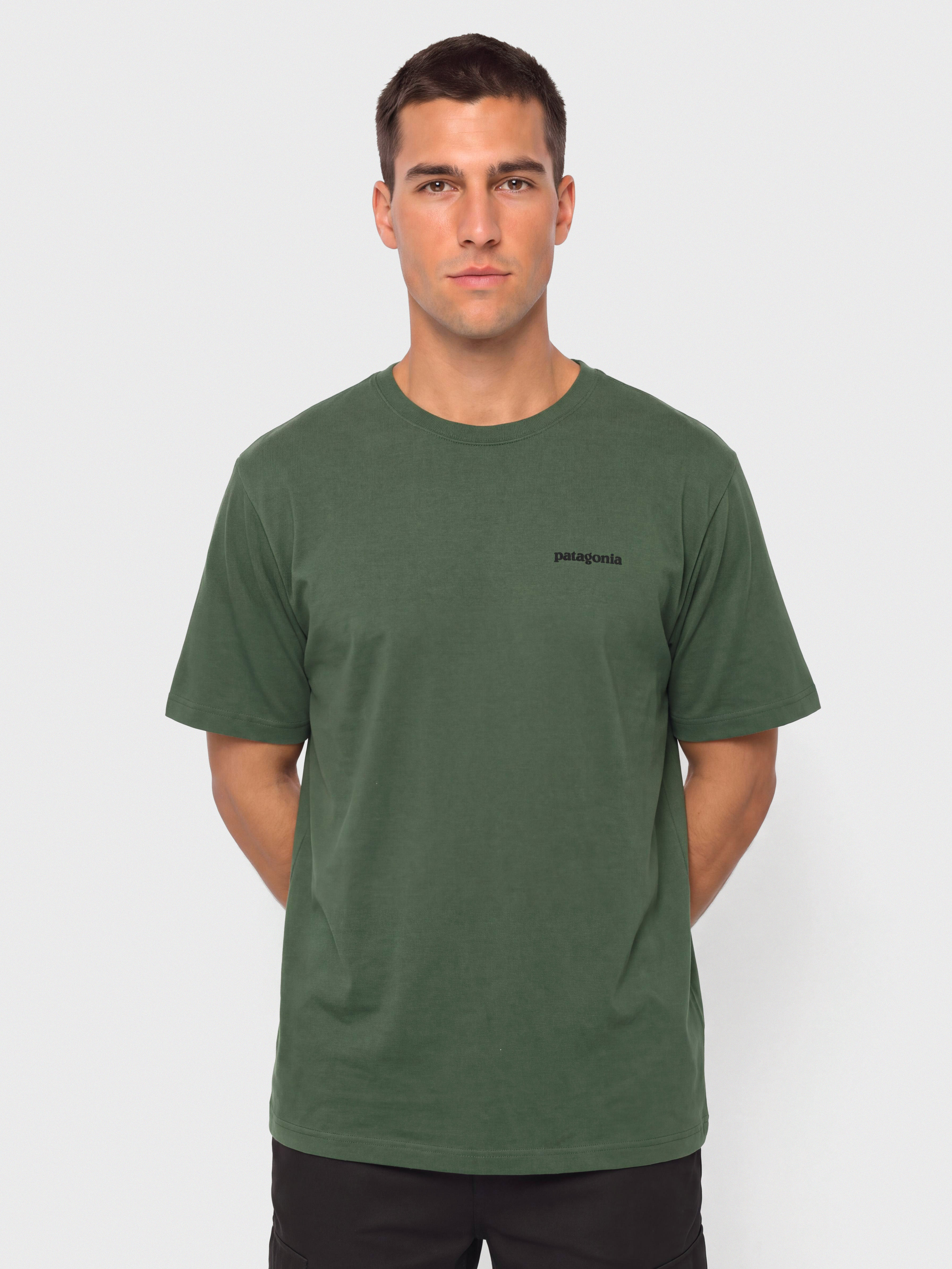 Patagonia P 6 Logo T-Shirt (canopy green)
