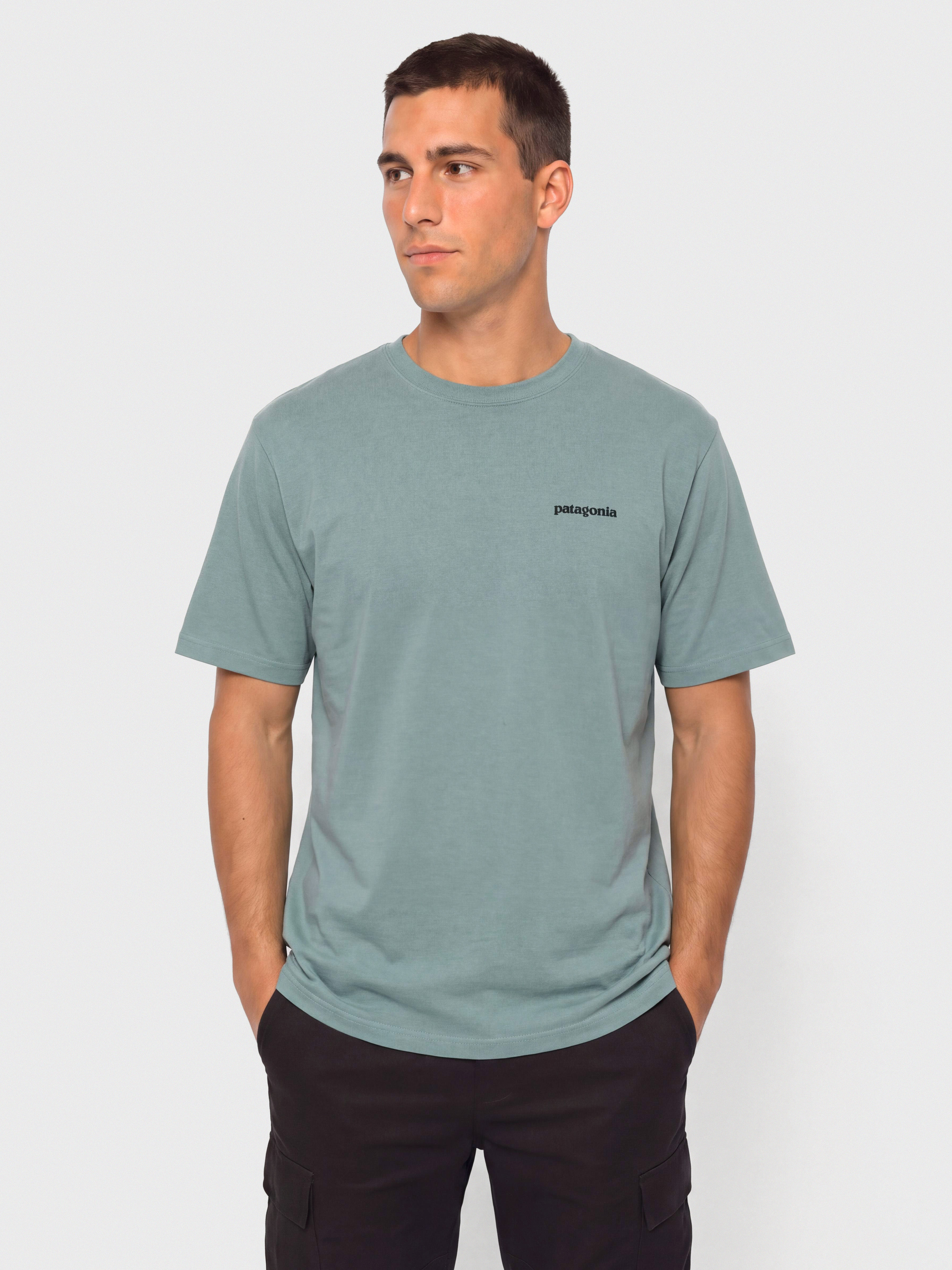 Patagonia P 6 Logo T-shirt (blue sage)