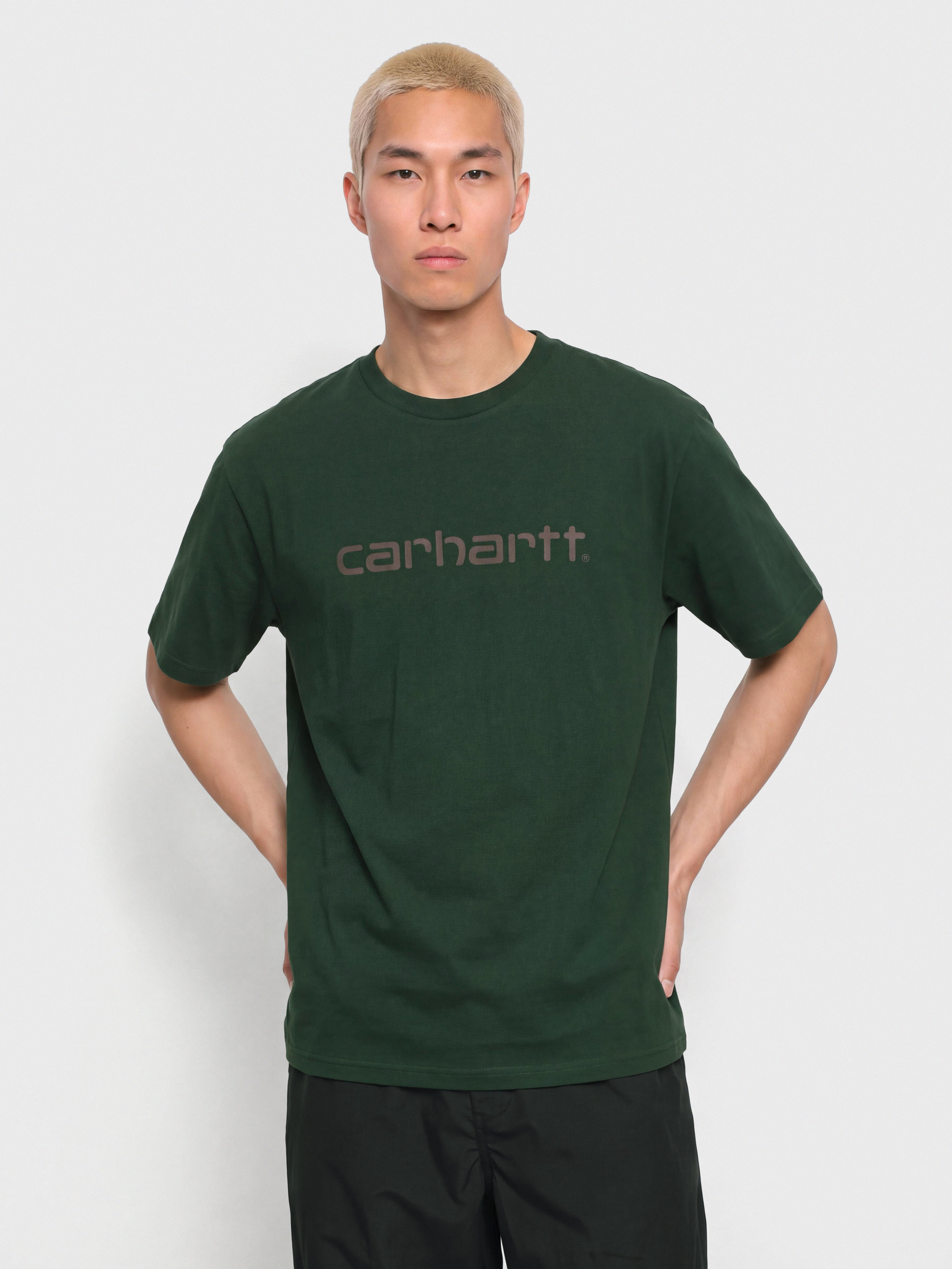 Carhartt WIP Script T-Shirt (dark scarab/palisander)