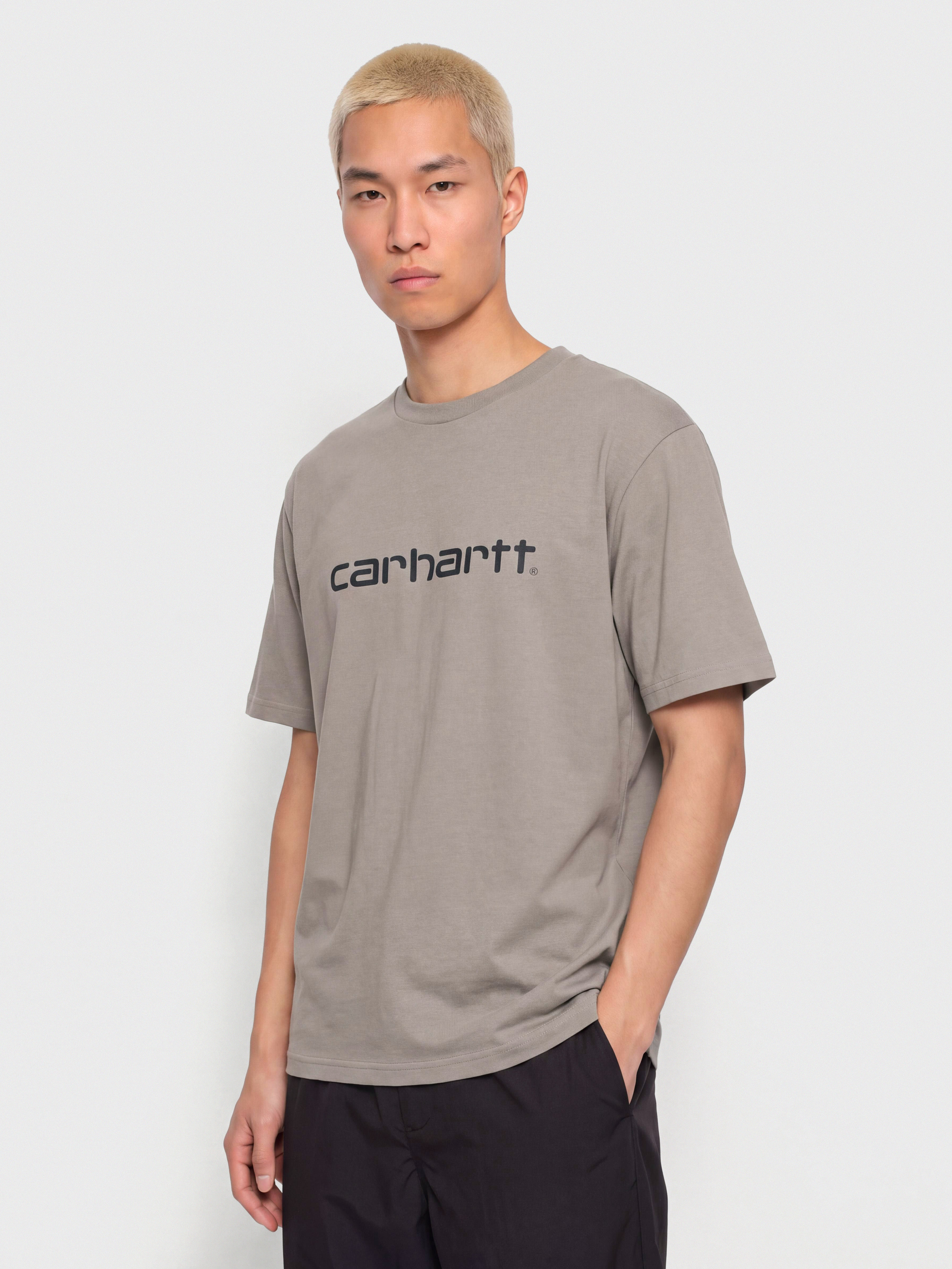 Carhartt WIP Script T-Shirt (shady grey/dark navy)