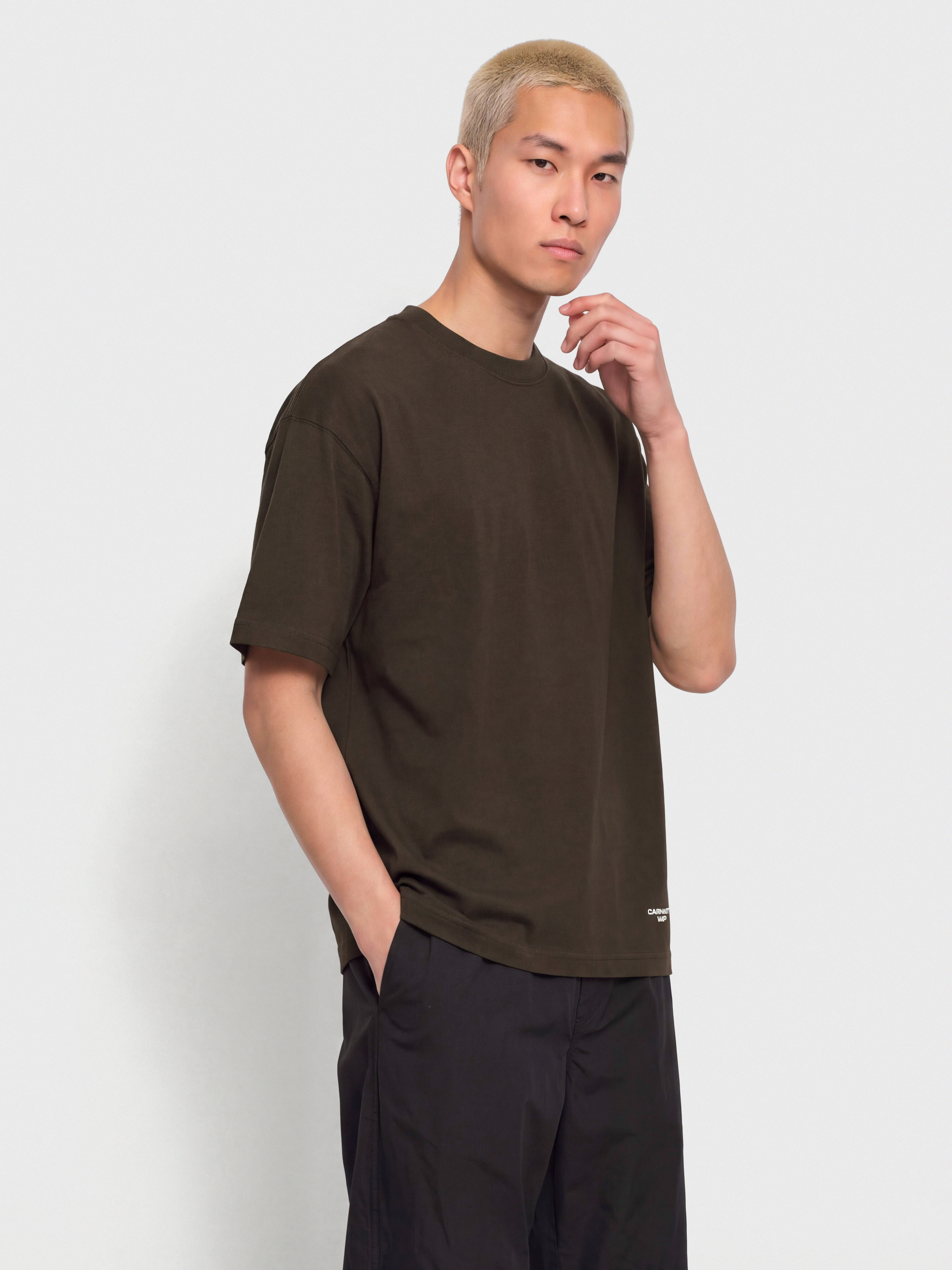 Carhartt WIP Chapter Script T-Shirt (tobacco/white)