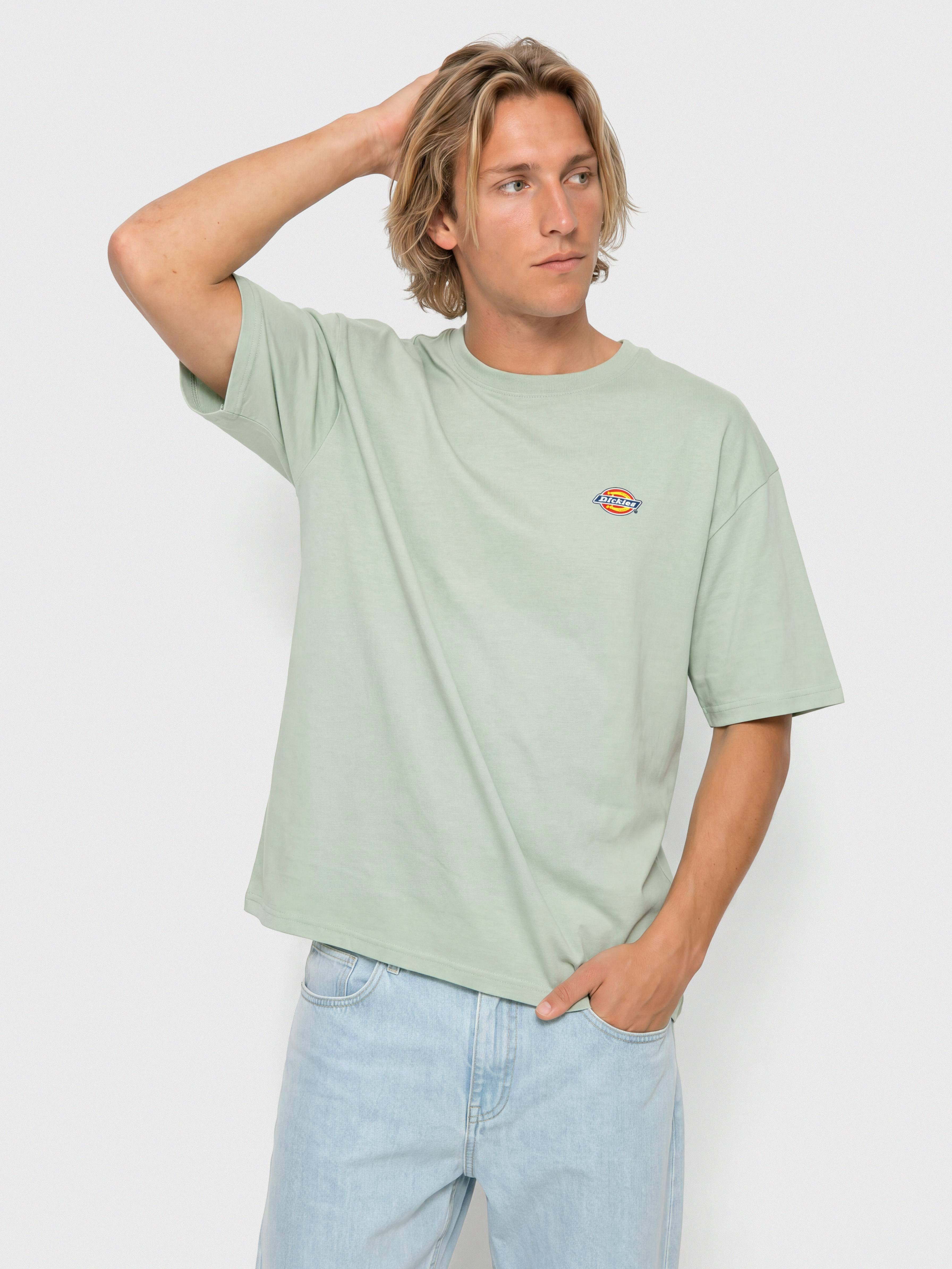 Dickies Mapleton T-Shirt (jadeite)