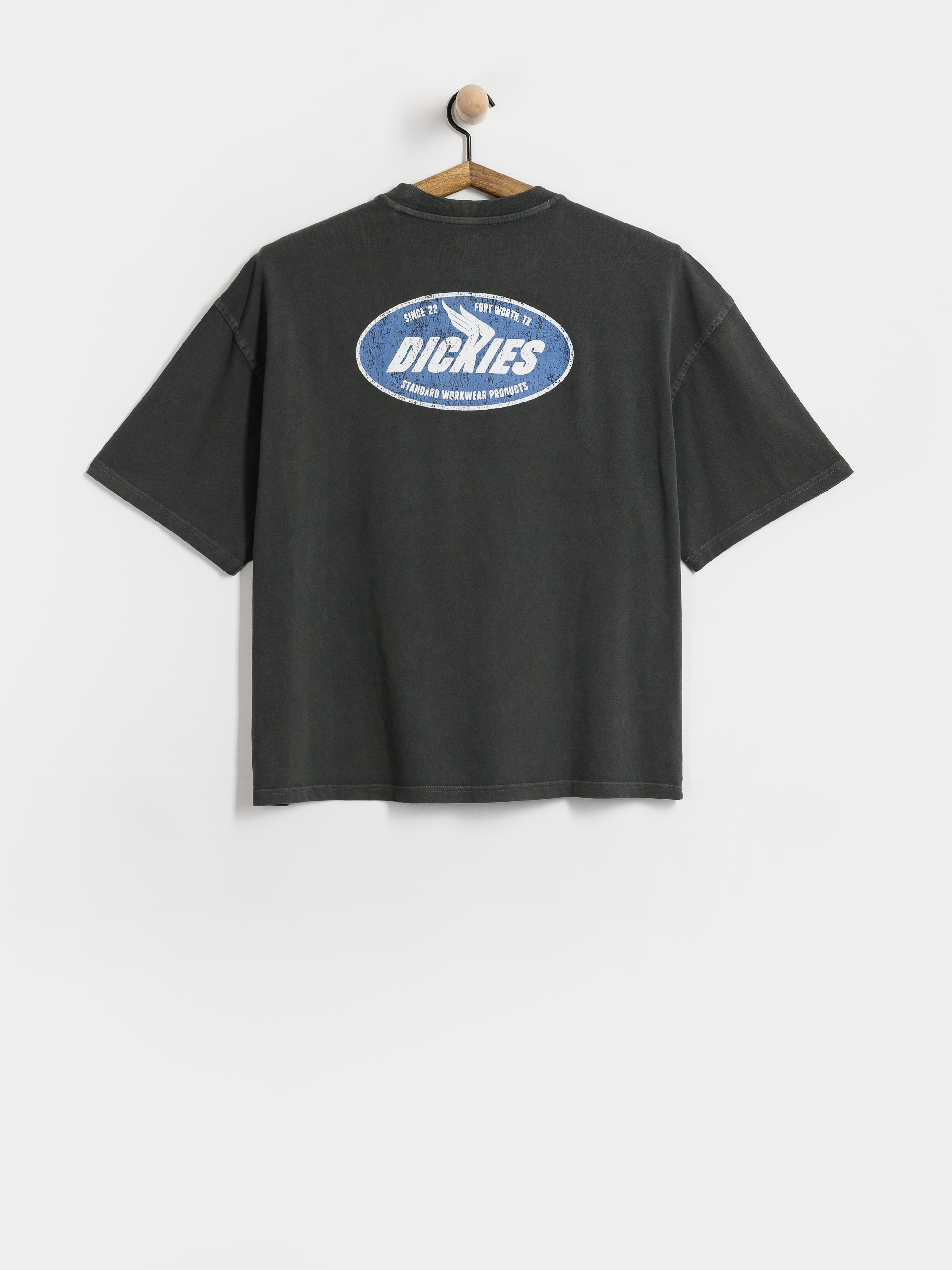 Dickies Shonto T-Shirt (black)