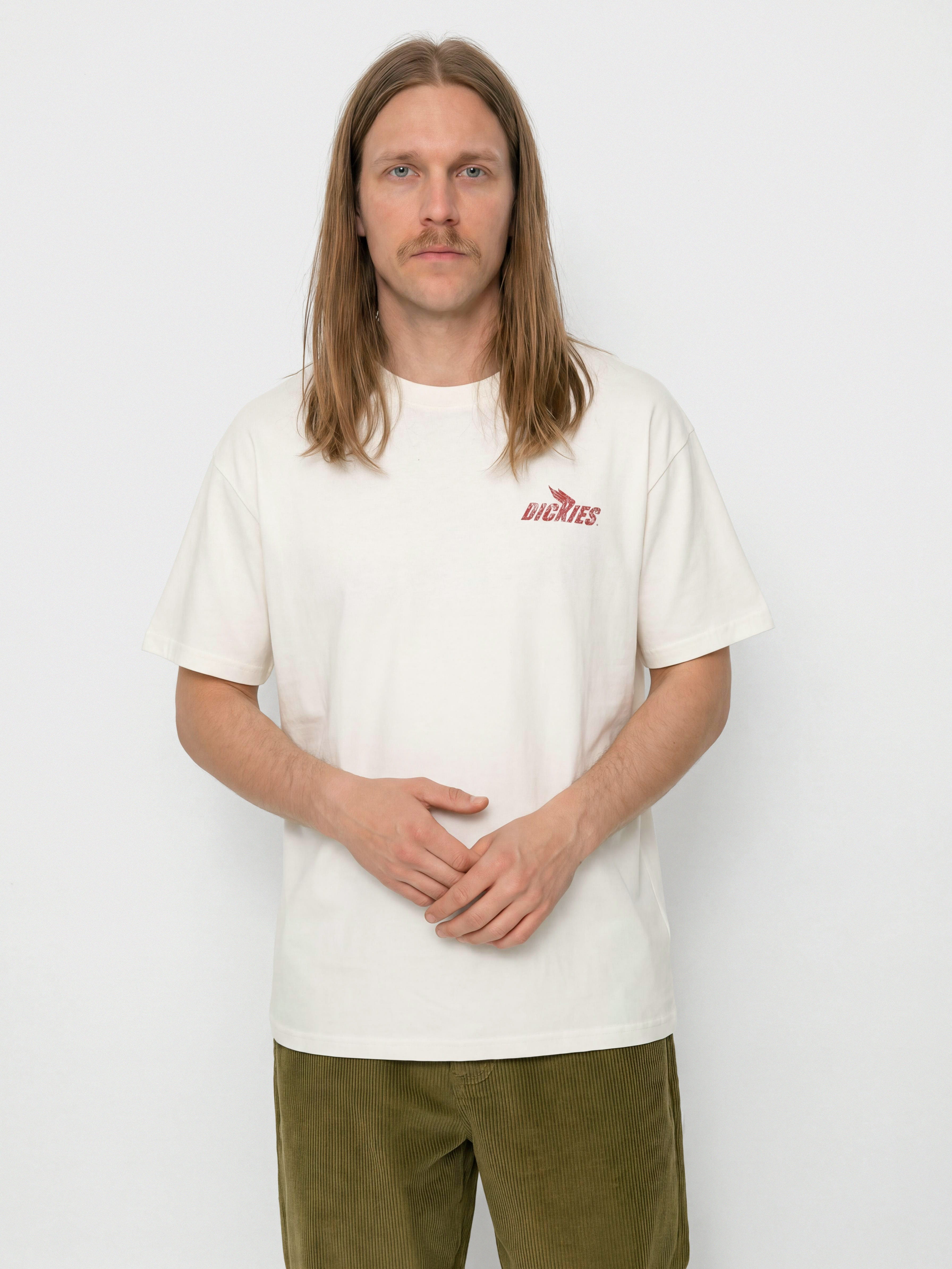 Dickies Shonto T-Shirt (egret)
