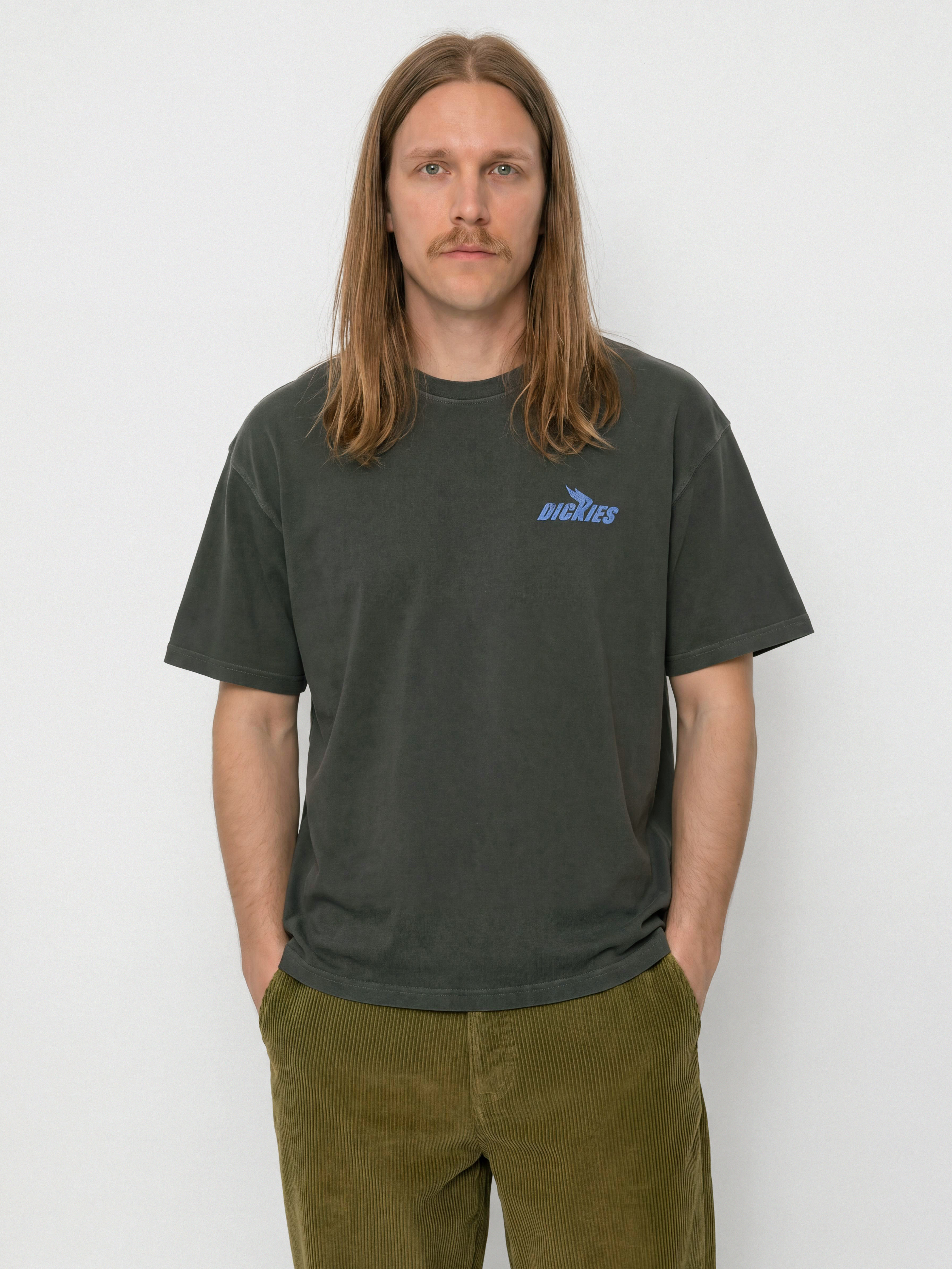 Dickies Shonto T-Shirt (black)