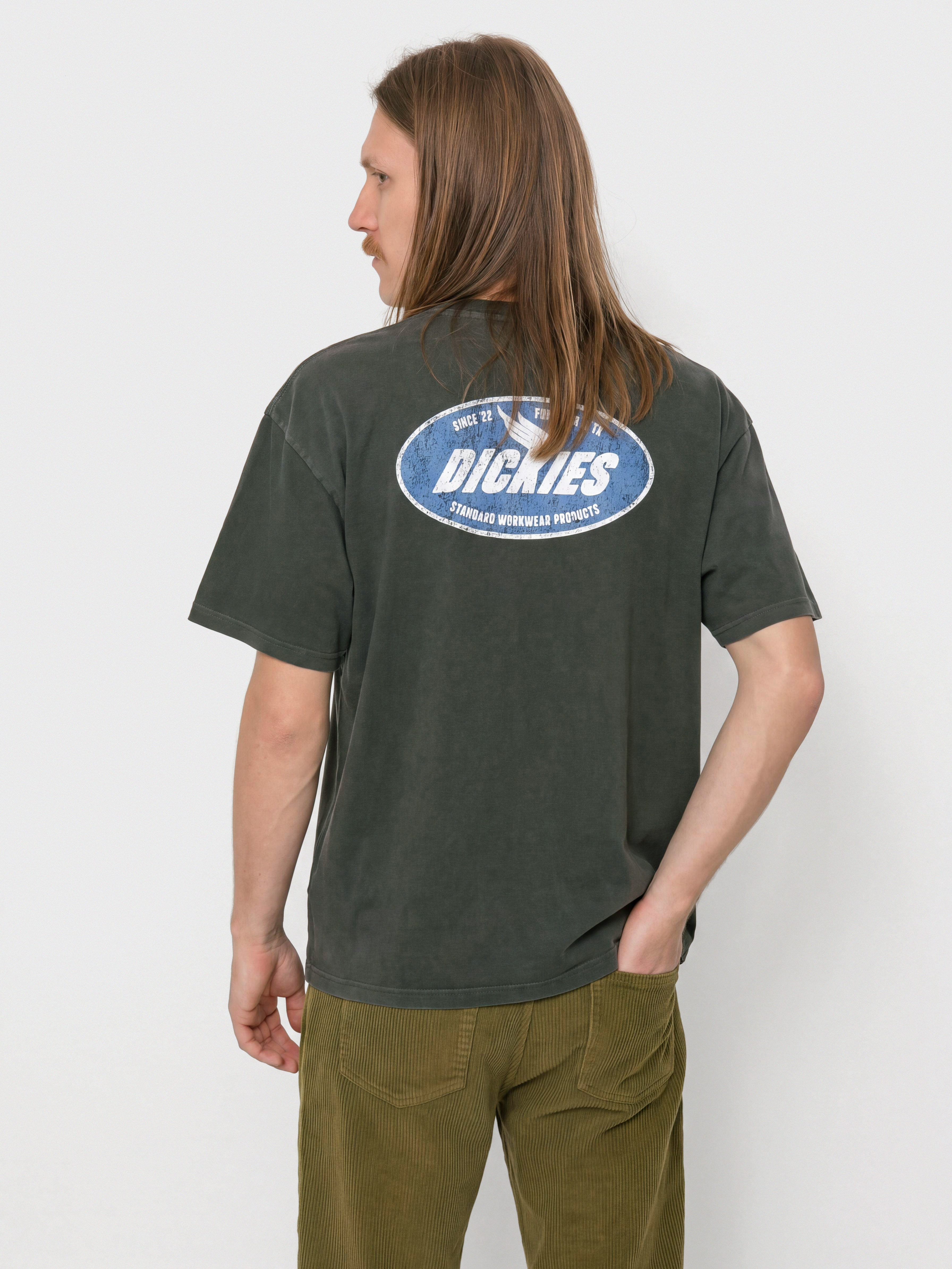 Dickies Shonto T-Shirt (black)