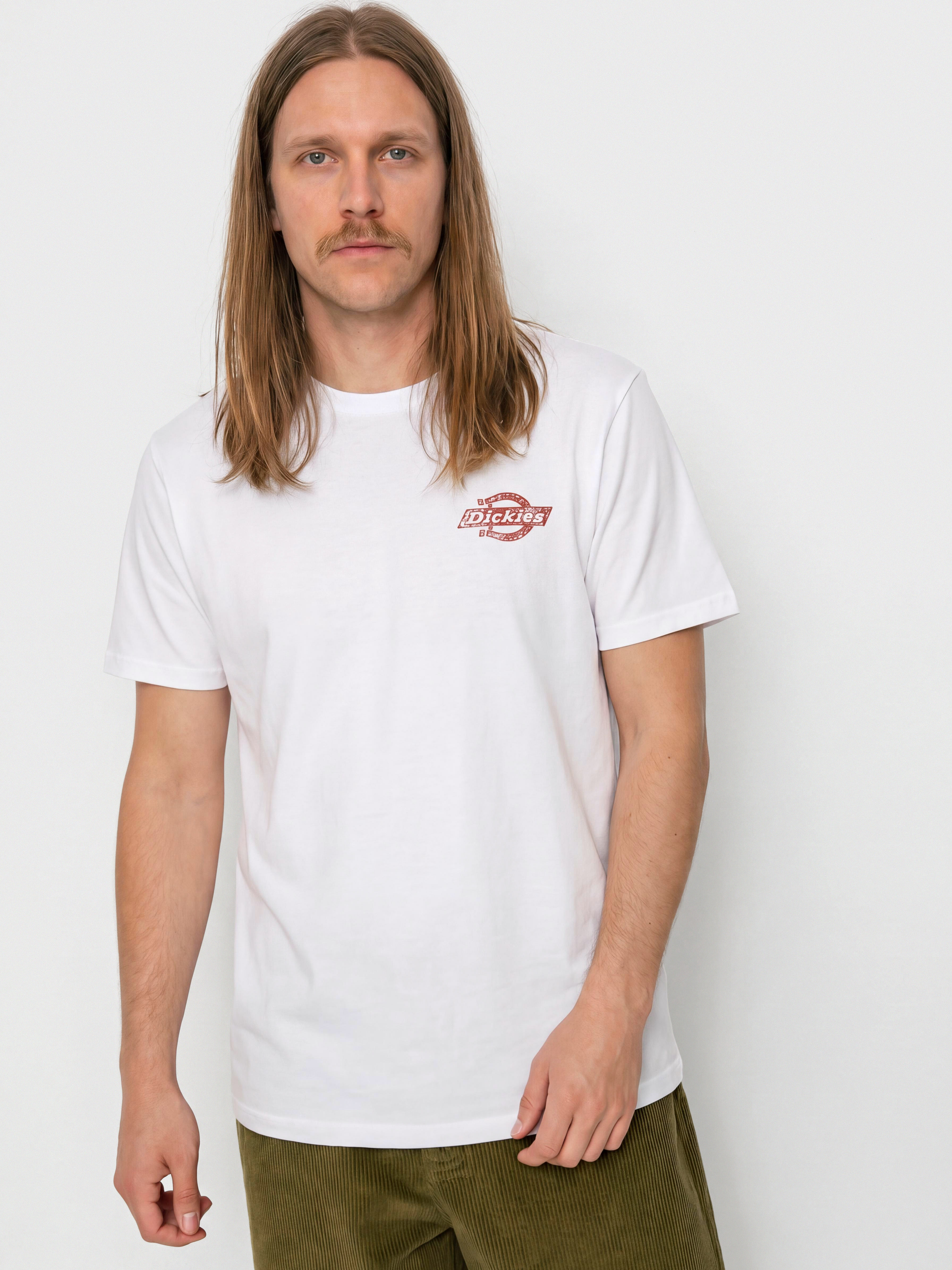 Dickies Chinle T-Shirt (white)