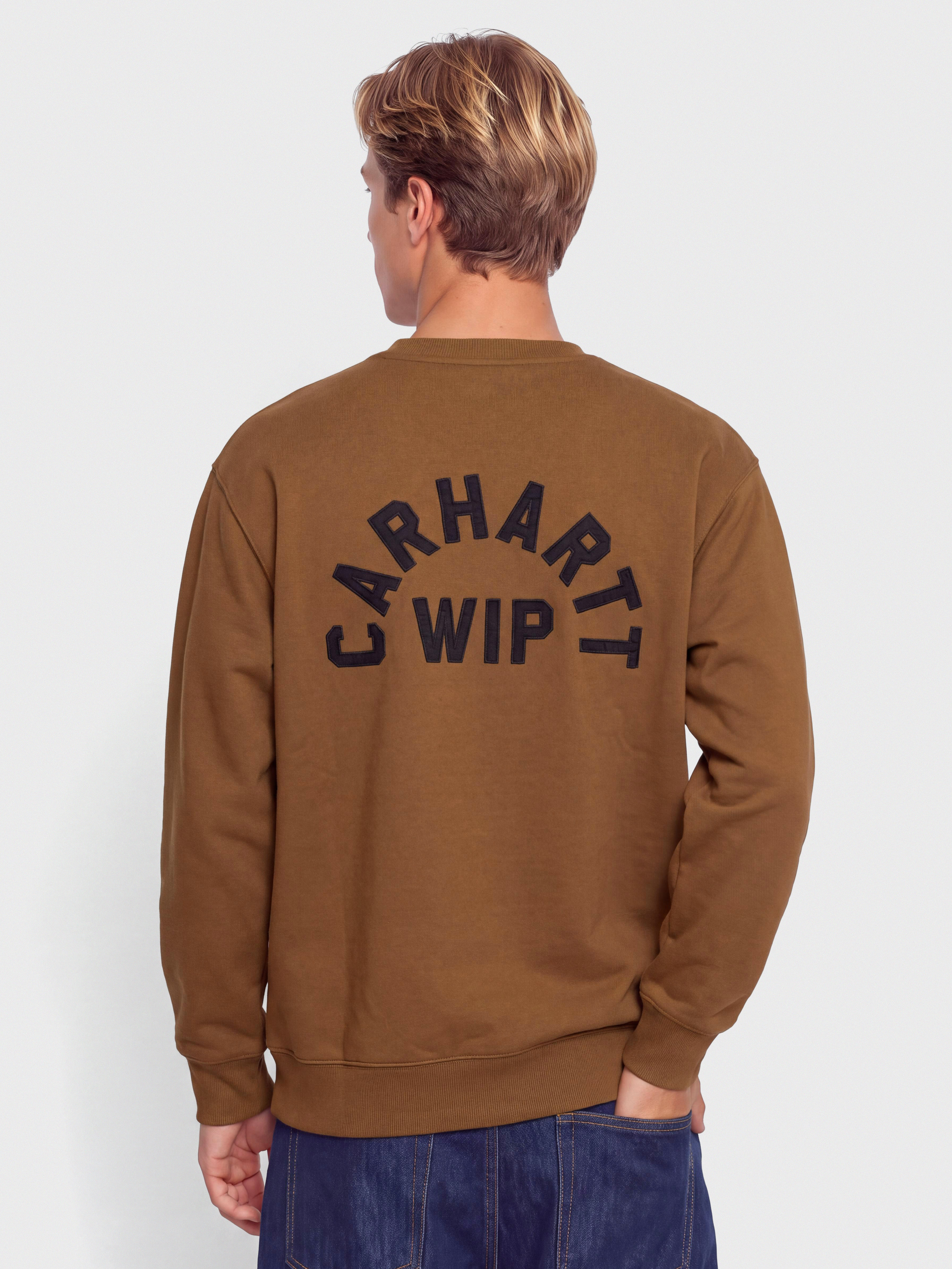 Carhartt WIP Sweatshirt Arch Script