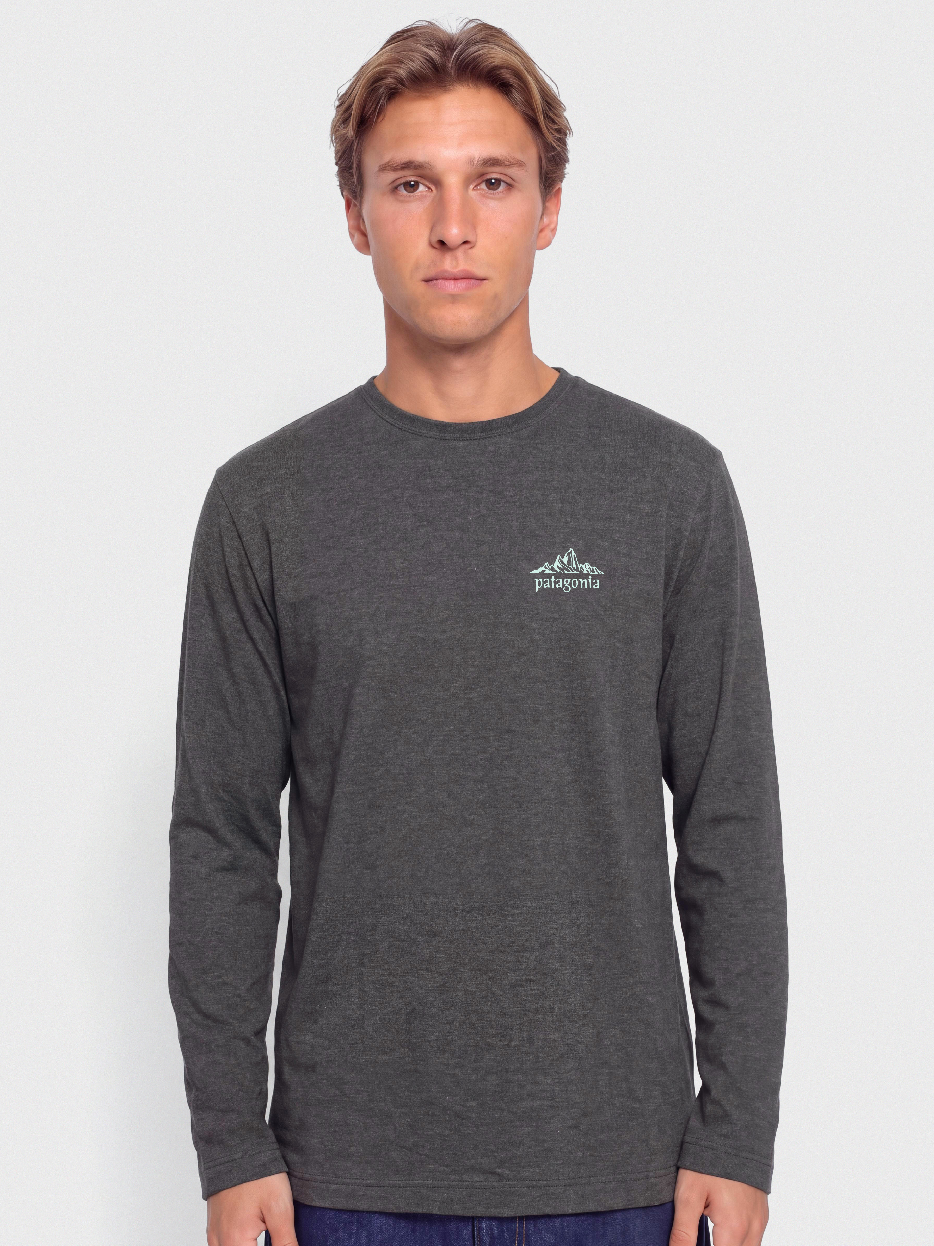 Patagonia Lightweight Cloud Crag Wildrise Sweatshirt (ink black)