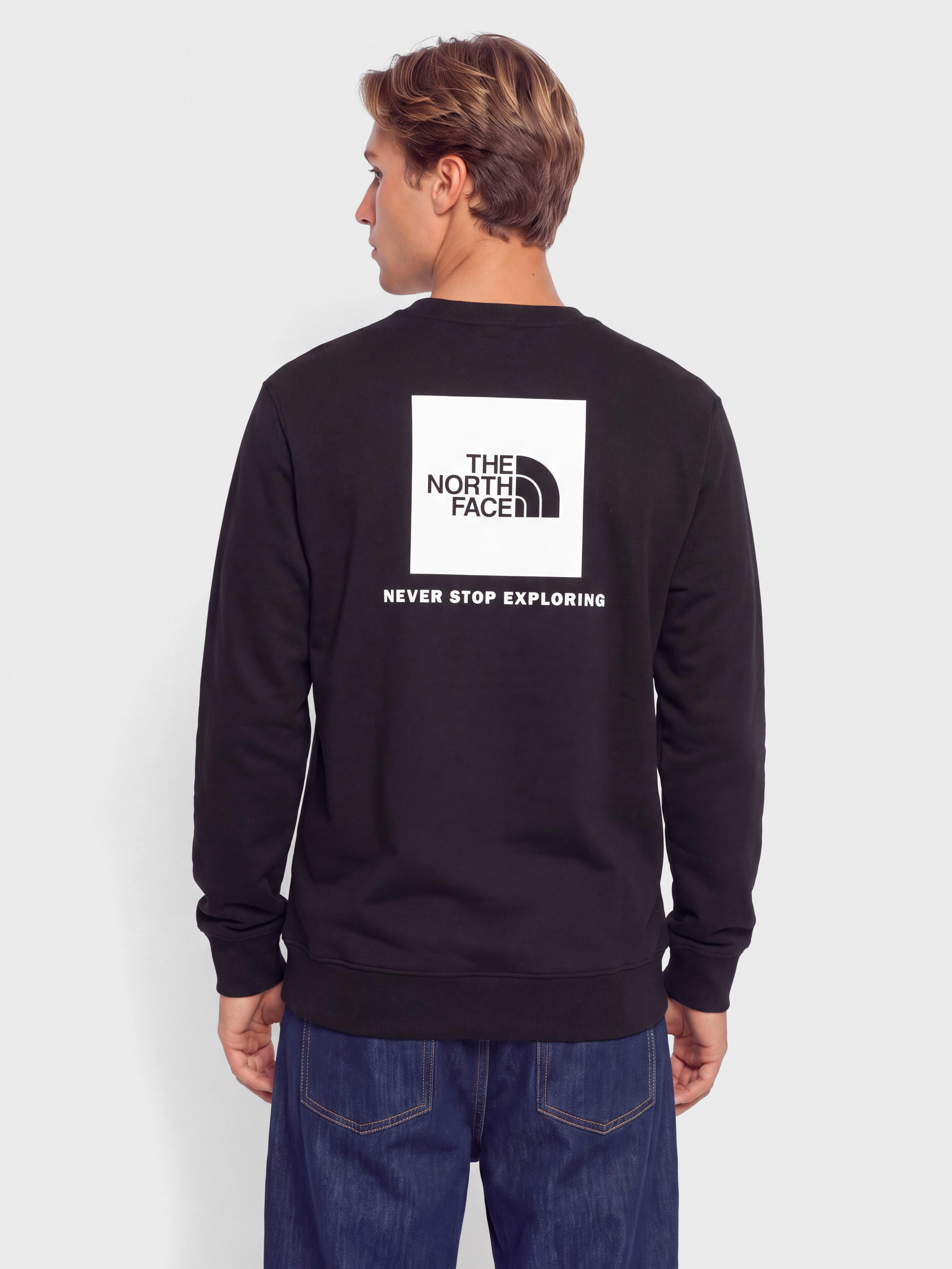 The North Face Evolution Box Nse Regular Sweatshirt (tnf black)