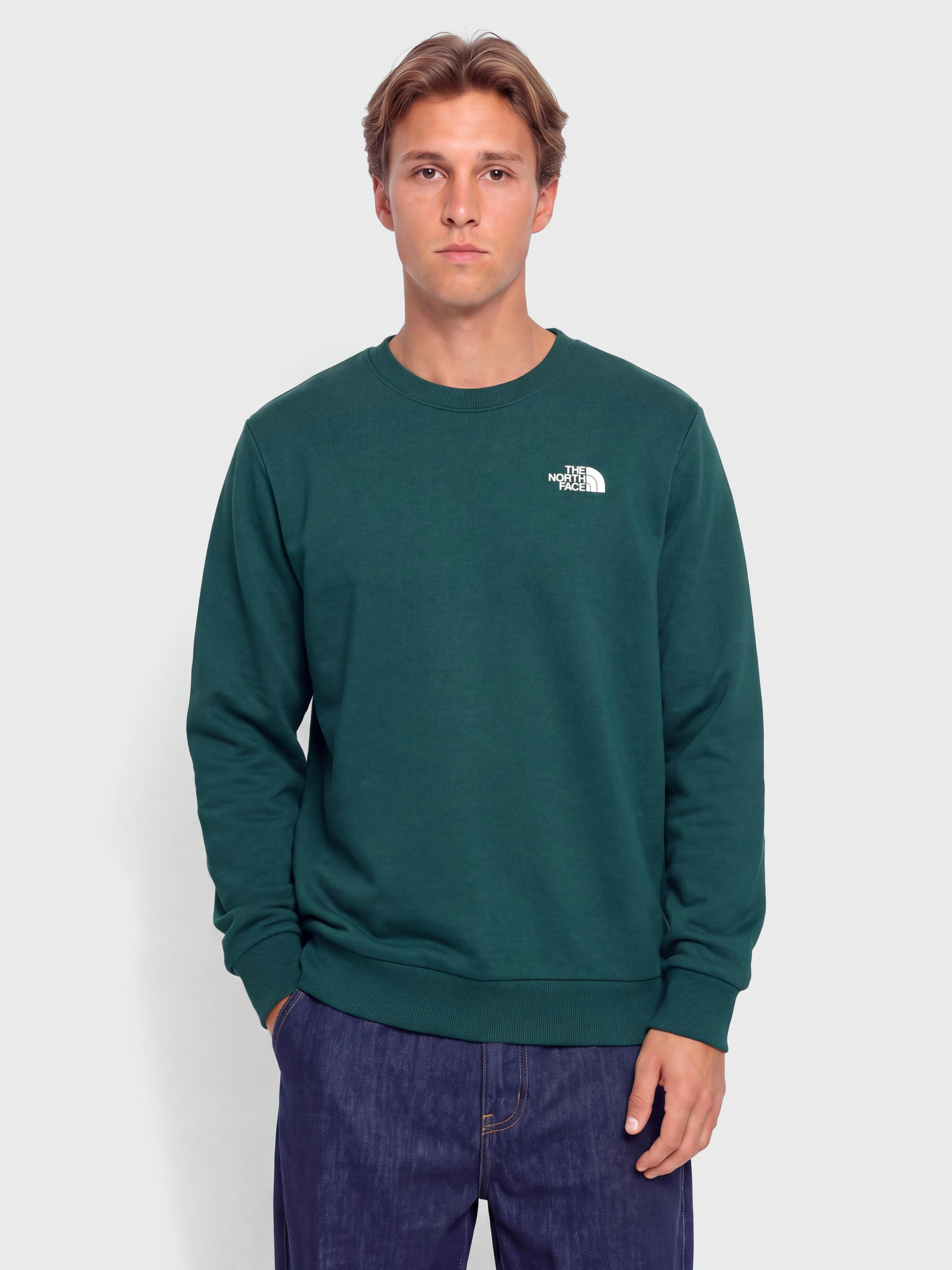 The North Face Evolution Box Nse Regular Sweatshirt (pacific teal)