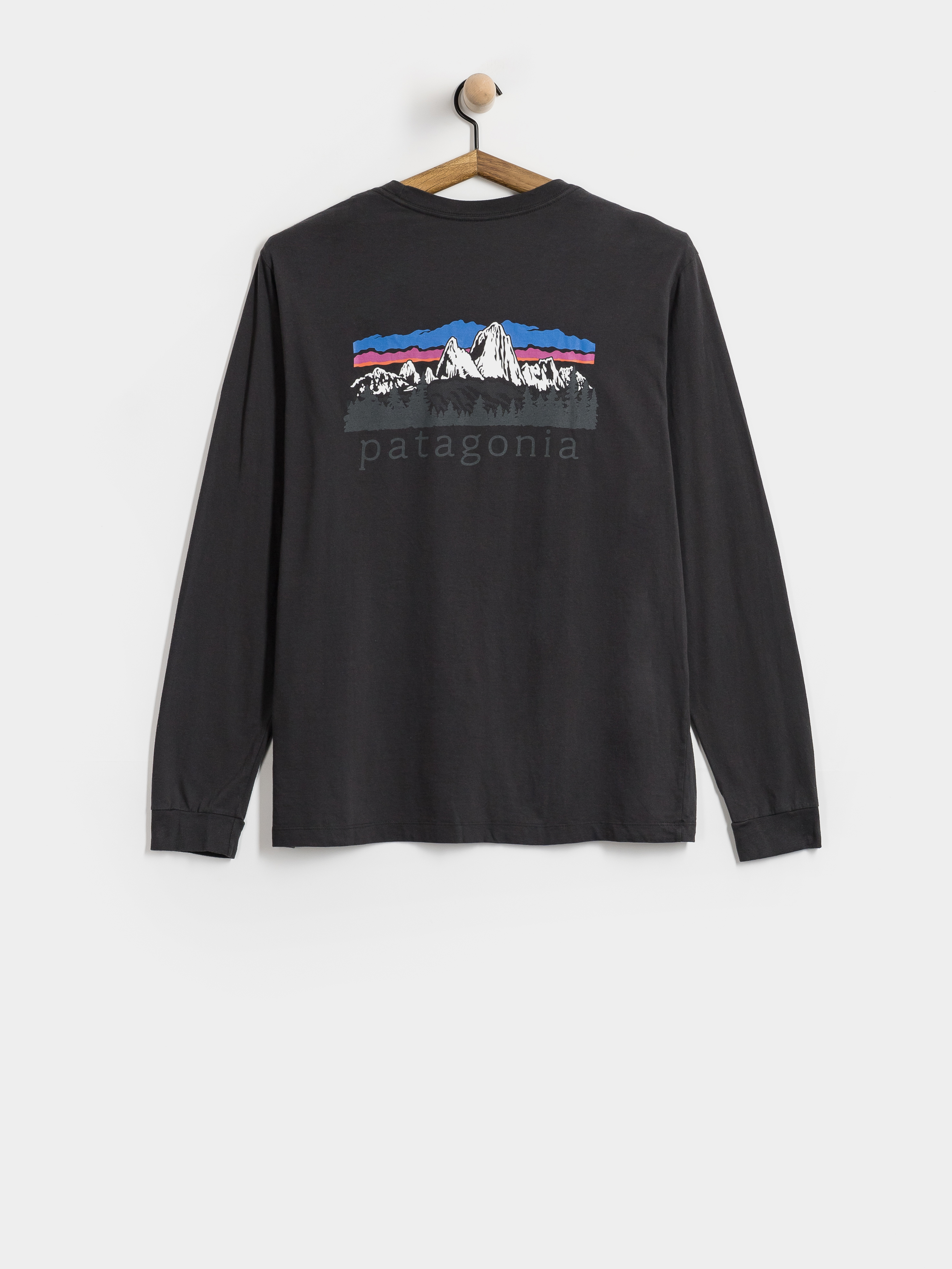 Patagonia Longsleeve Fitz Roy Foothills (ink black)