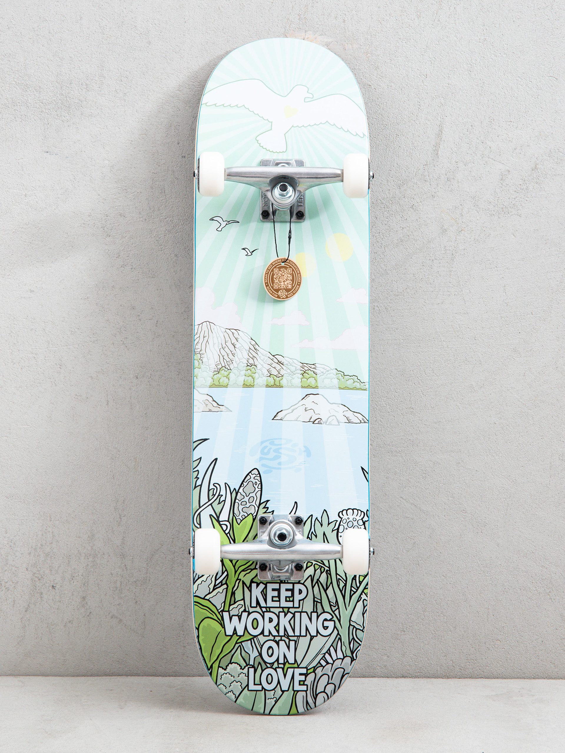 Push Jon Horner Guest Artist Skateboard