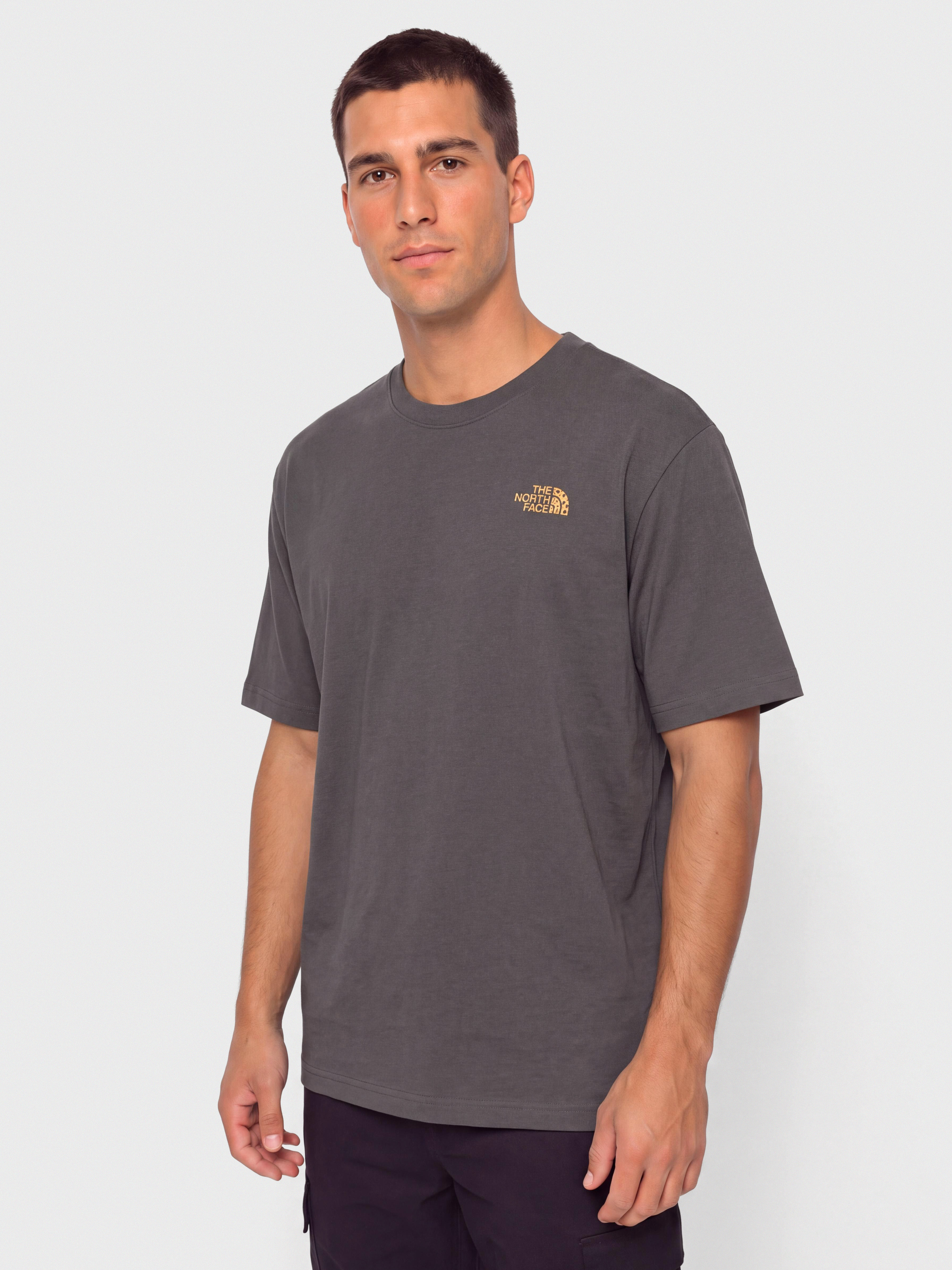 The North Face Tnf Snack Relaxed T-Shirt (anthracite grey)