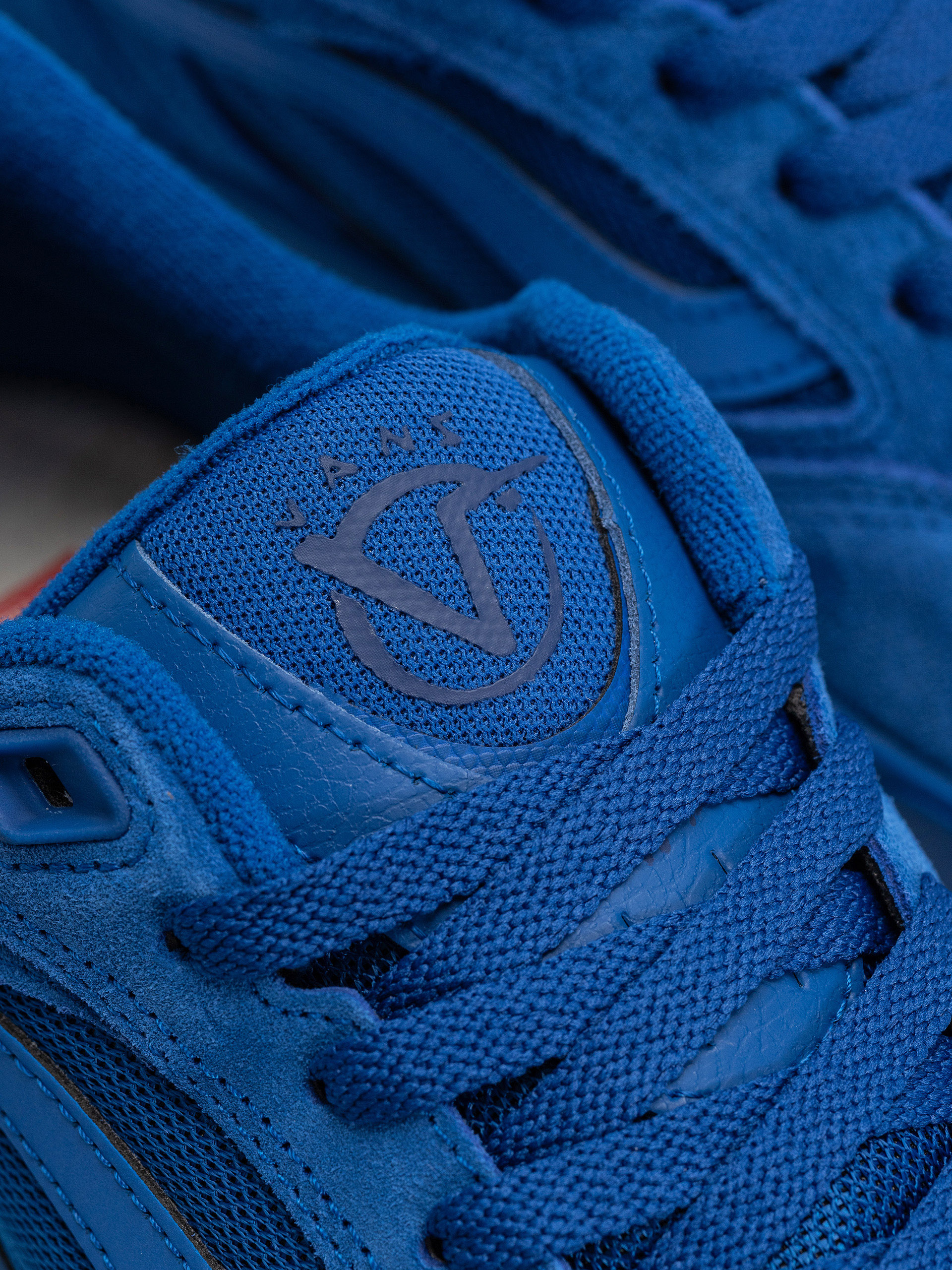 Vans Skate Rowan Z3 Shoes (classic blue)