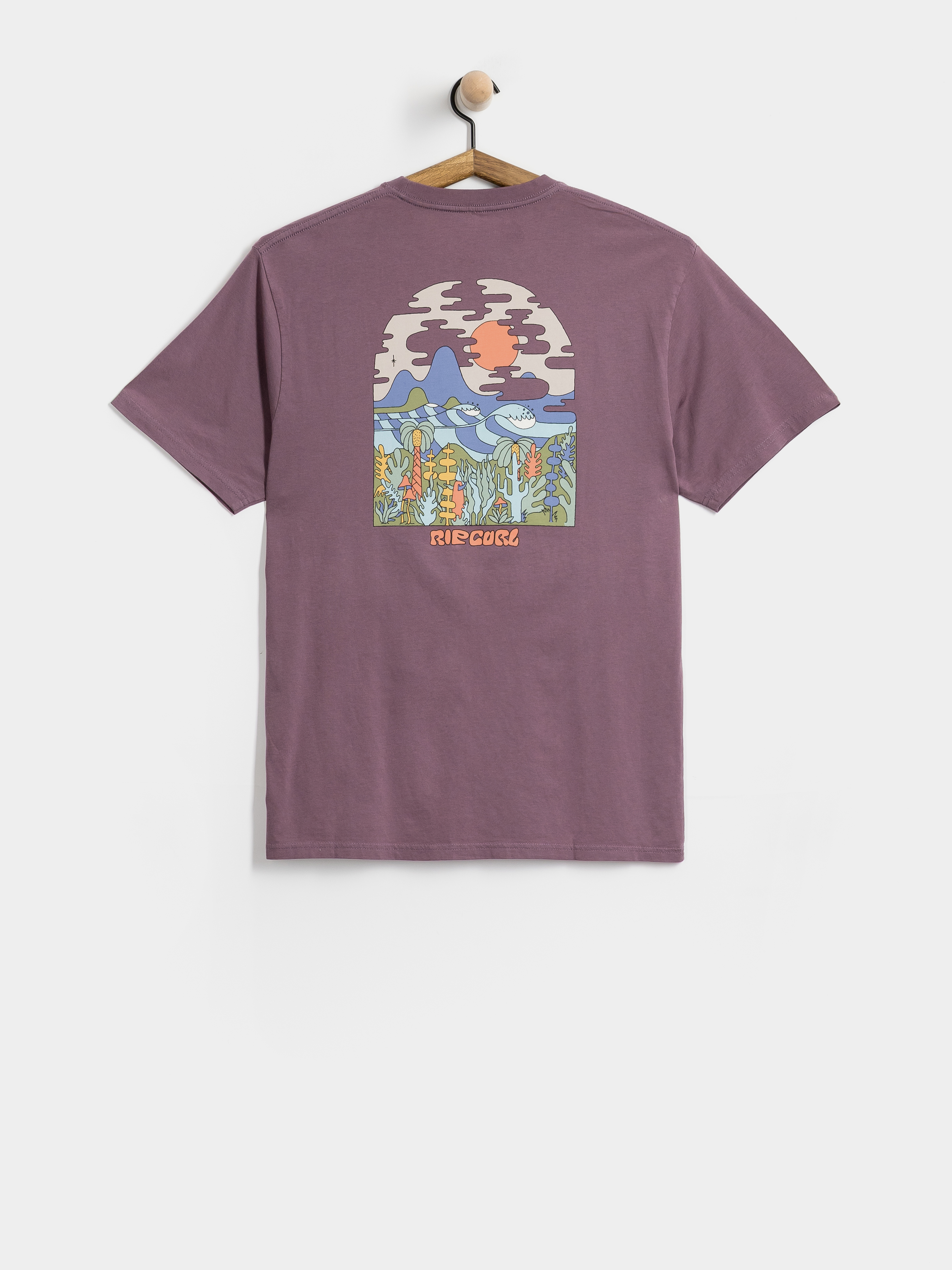 Rip Curl T-Shirt Pacific Rinse Higgins (dusty purple)