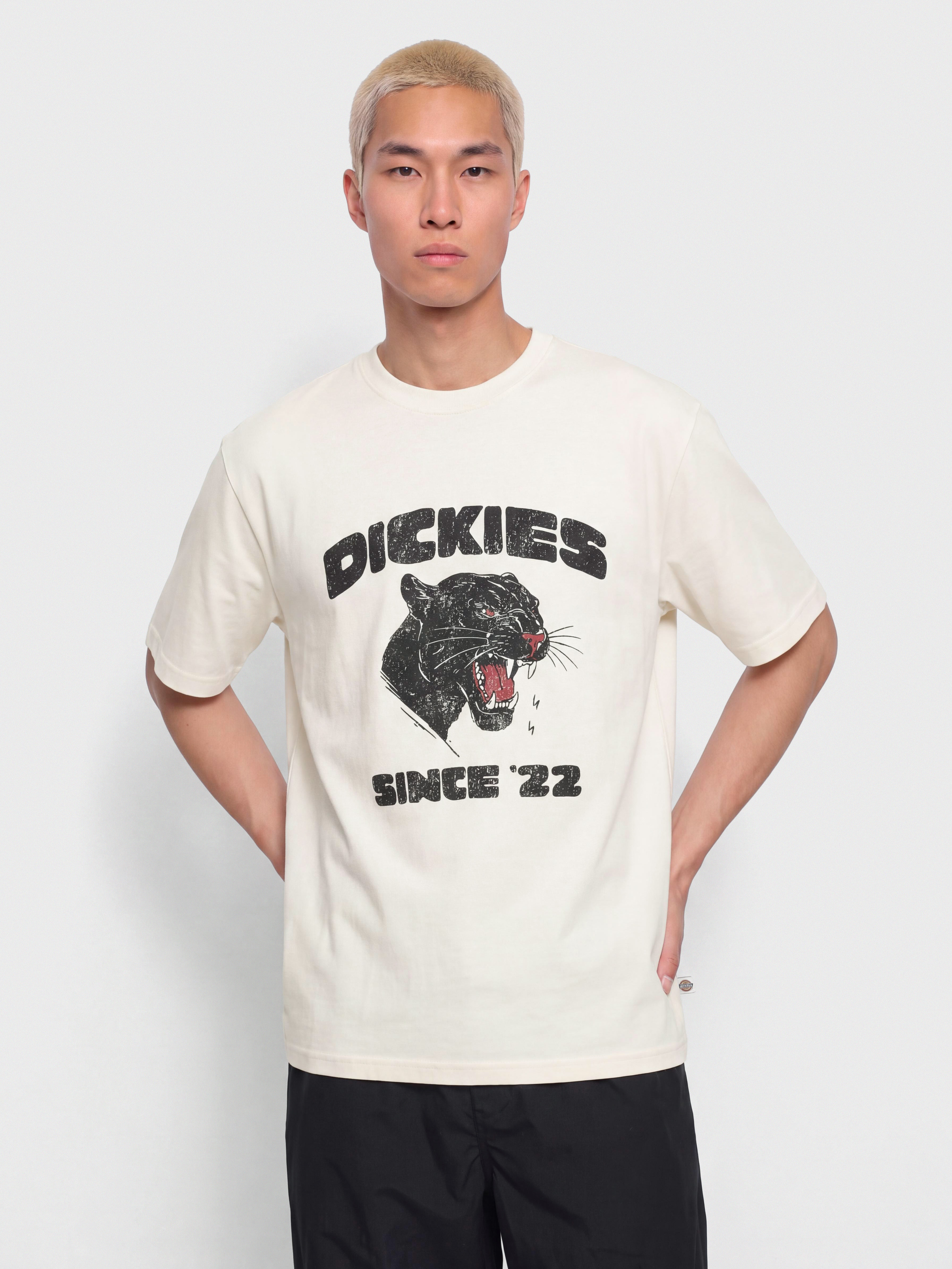 Dickies T-Shirt Mcdermitt (egret)