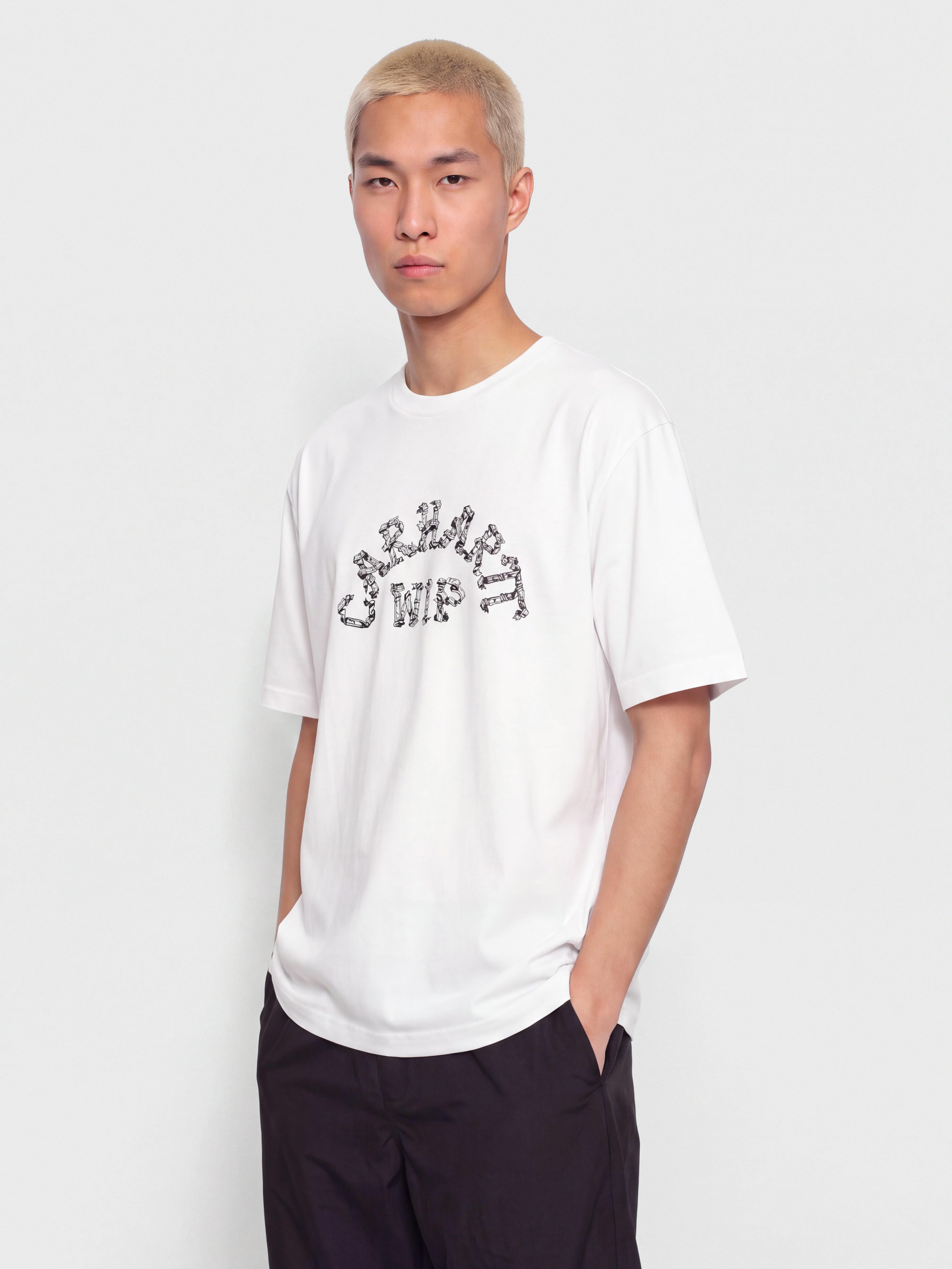Carhartt WIP Ribbon Script T-Shirt (white)