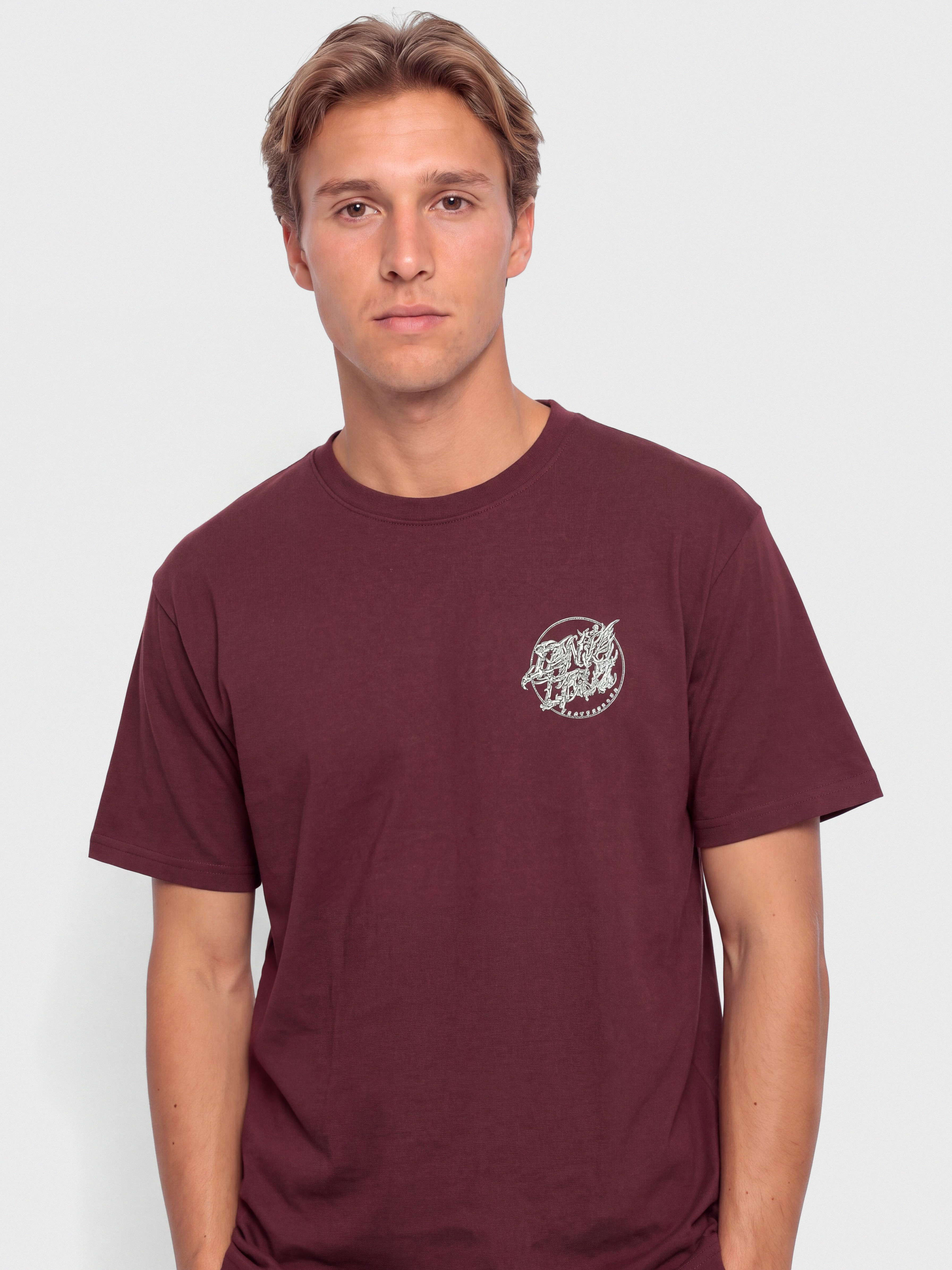 Santa Cruz Scourge Dot T-Shirt (dark plum)