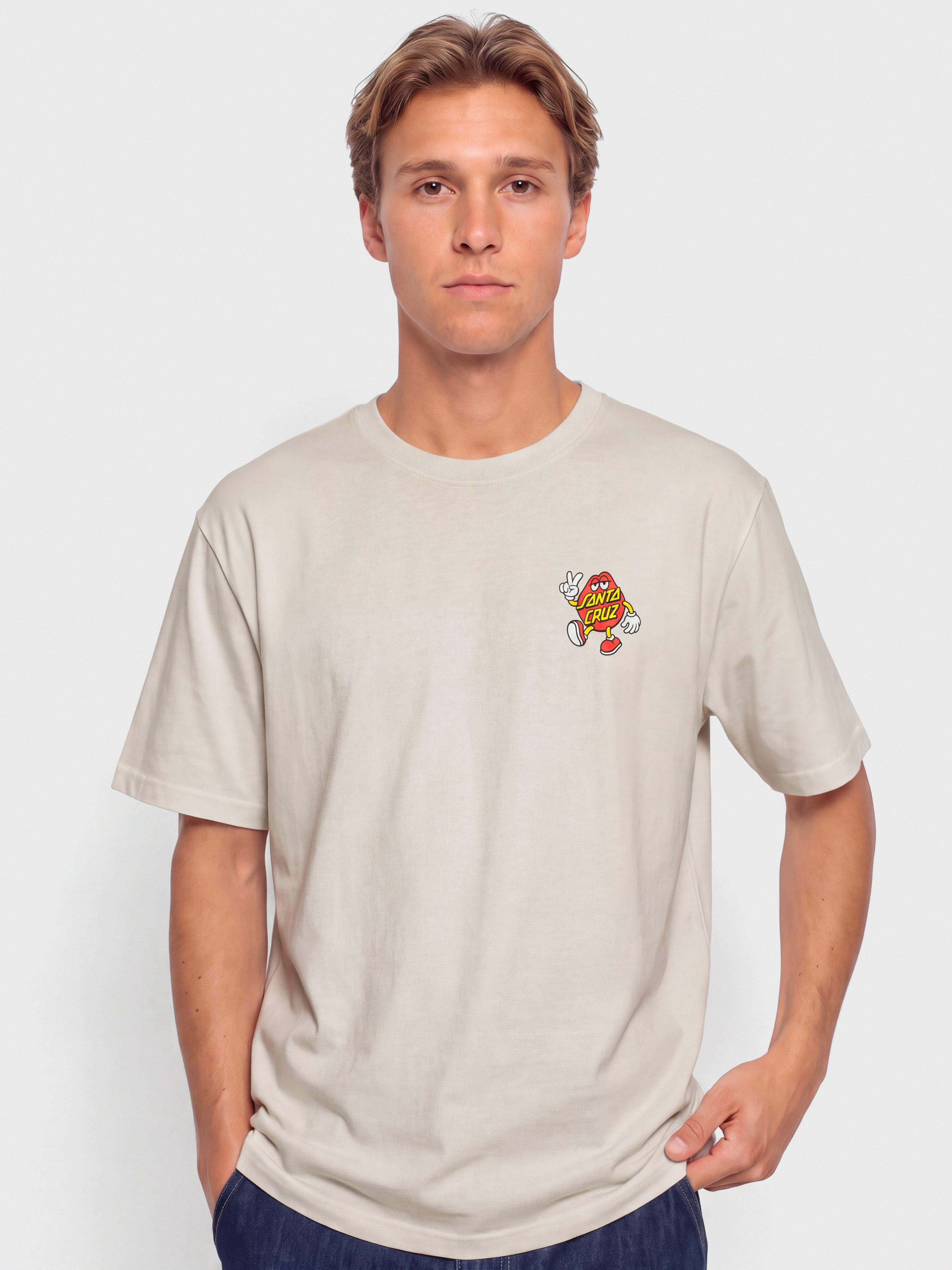 Santa Cruz Dot Dudes T-Shirt (warm grey)