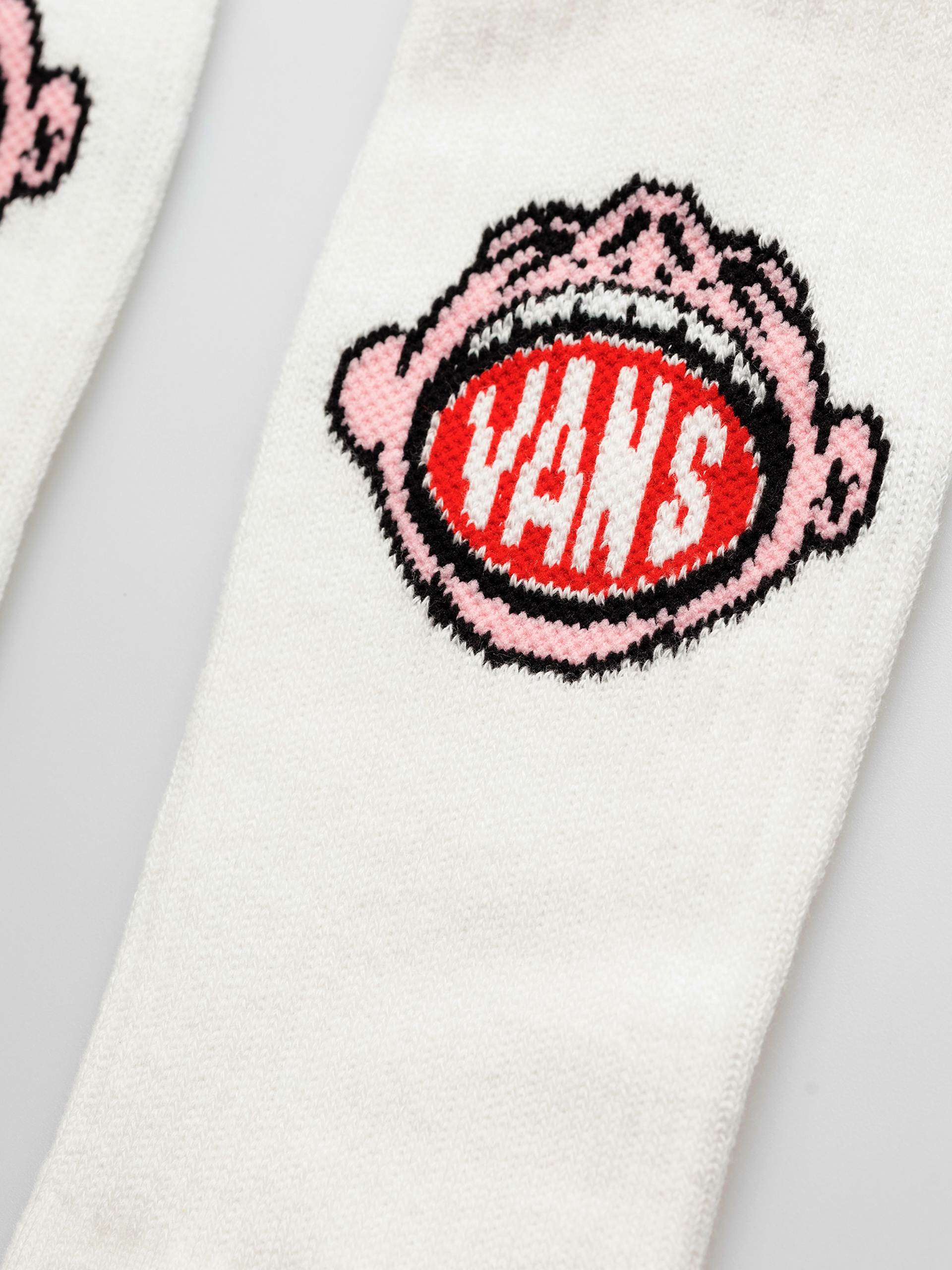 Vans Aldezo Crew Socks (white)