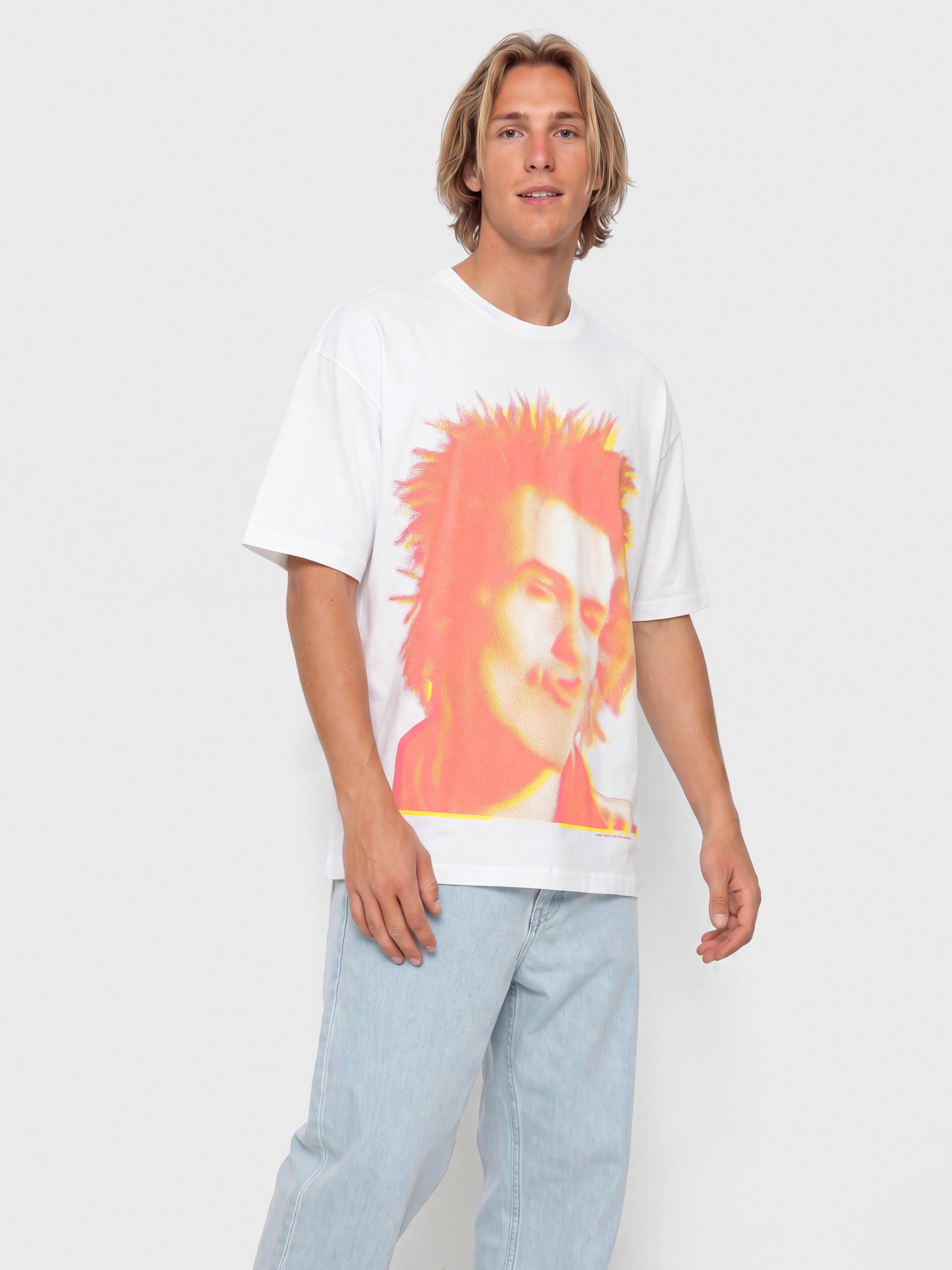 Vans Sex Pistols Vicious T-shirt (white)