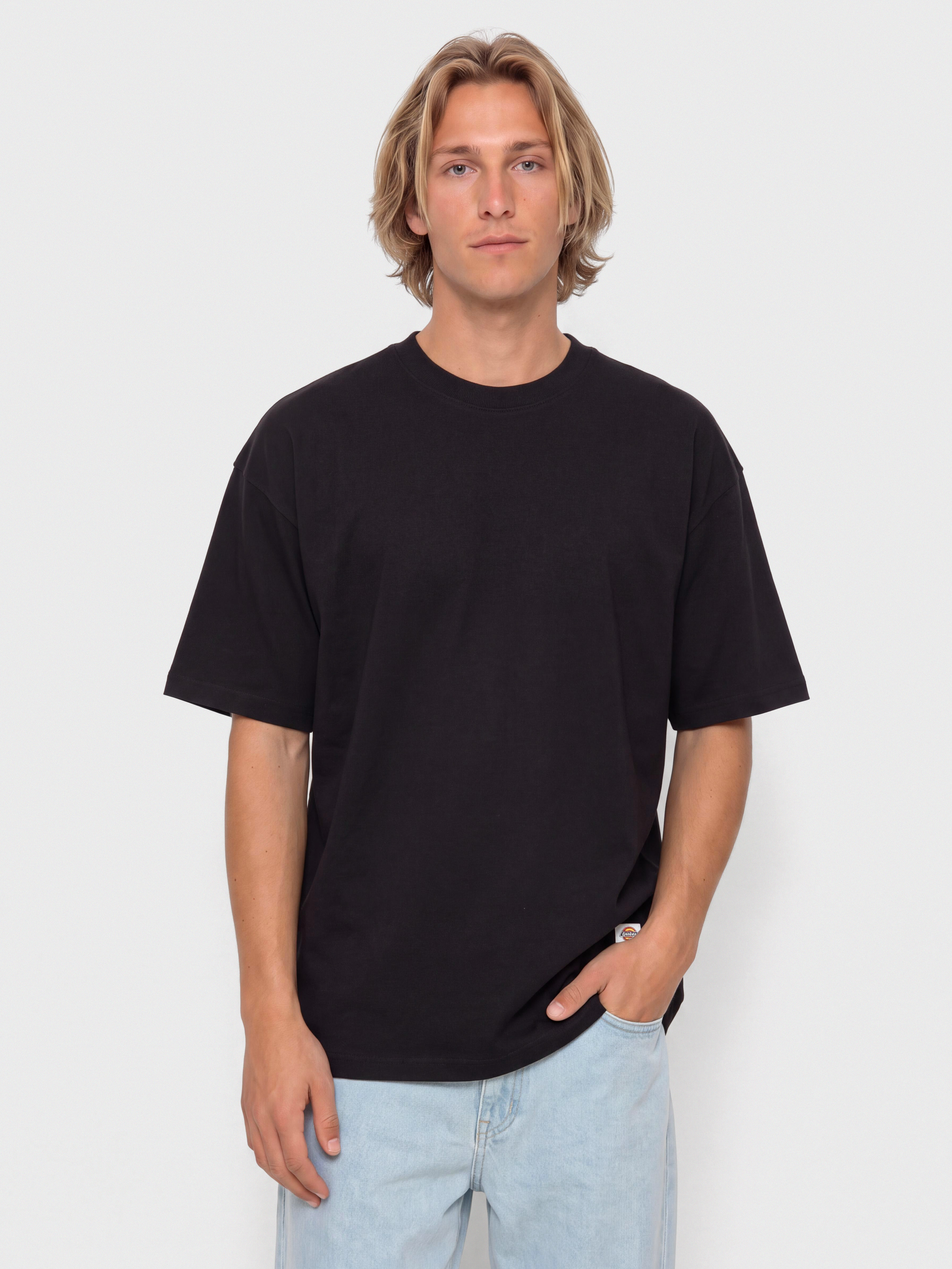 Dickies T-Shirt Mineral Heavyweight (black)