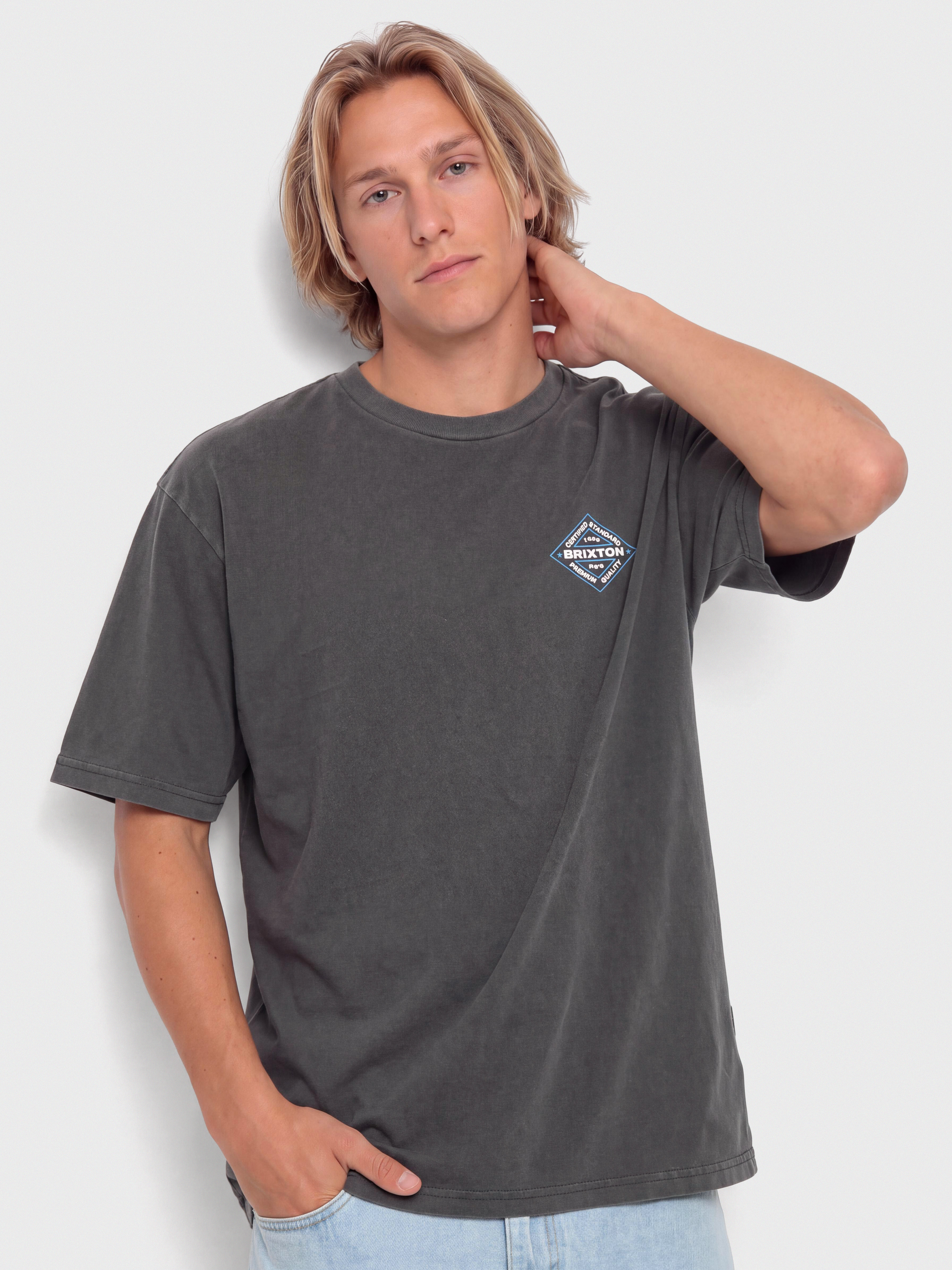 Brixton Lowry Stnd T-Shirt (black worn wash)
