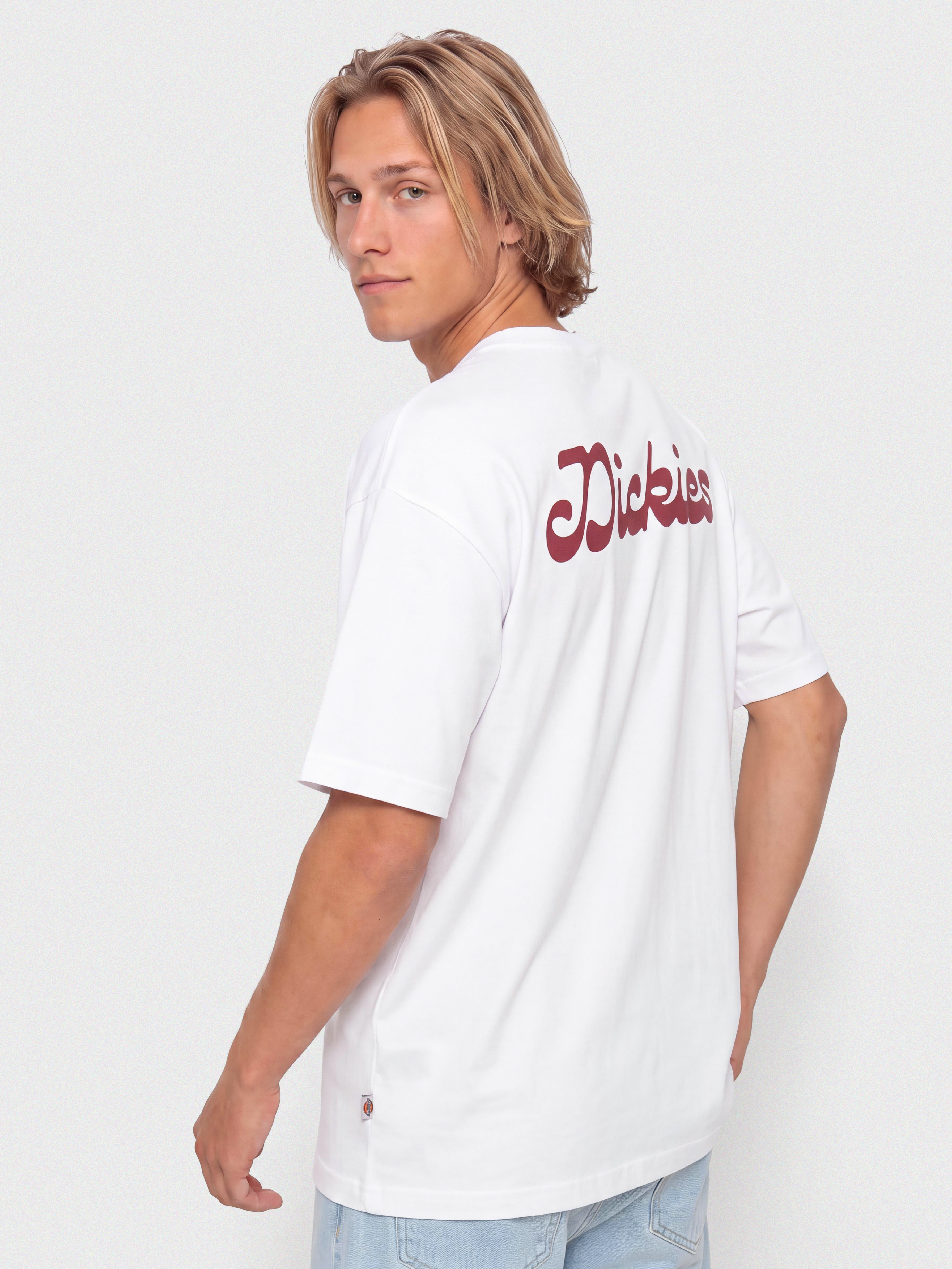 Dickies T-Shirt Cornville (white)