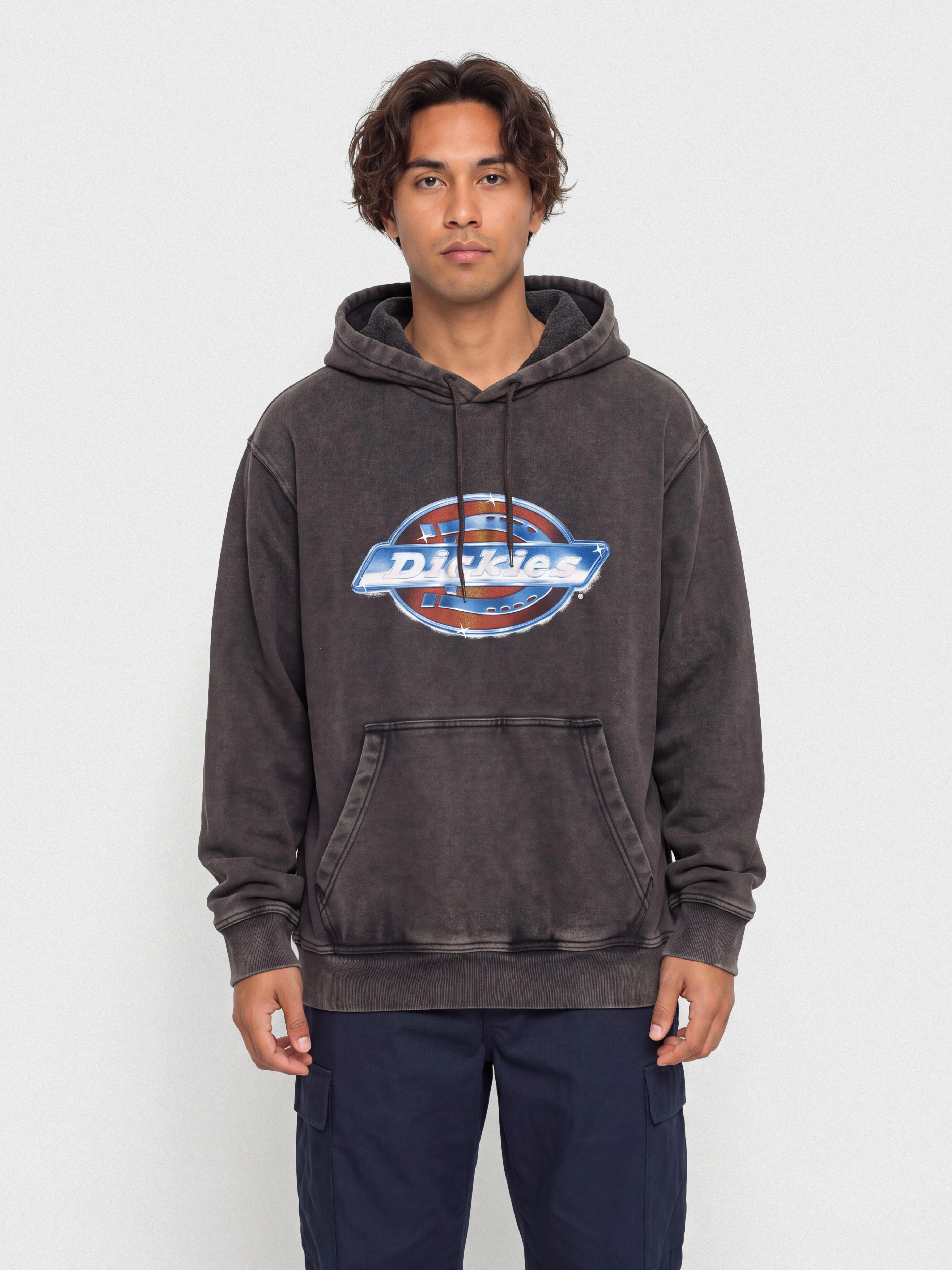 Dickies Hoodie Coolidge HD (black)