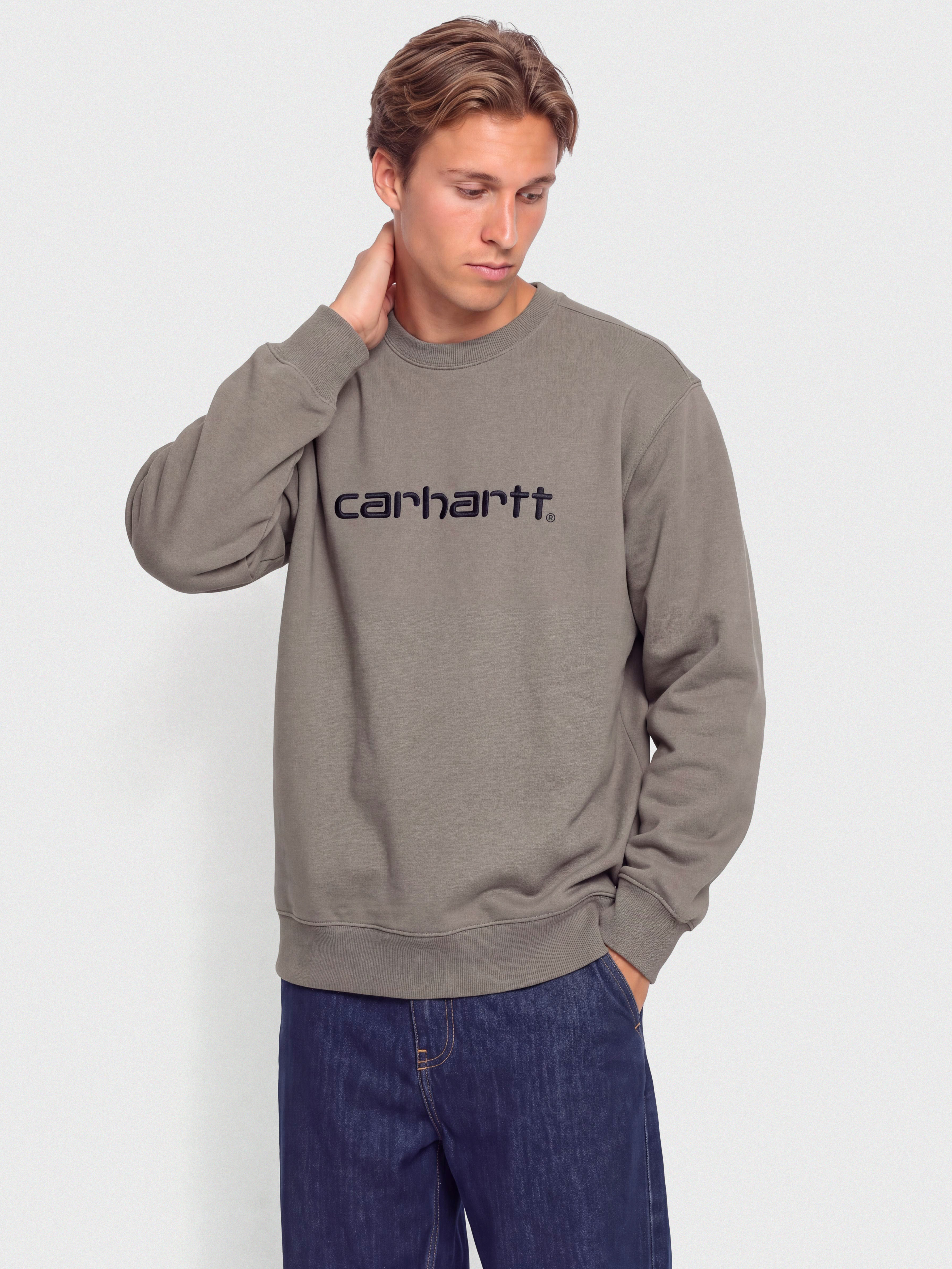 Carhartt WIP Carhartt Sweatshirt (shady grey/dark navy)