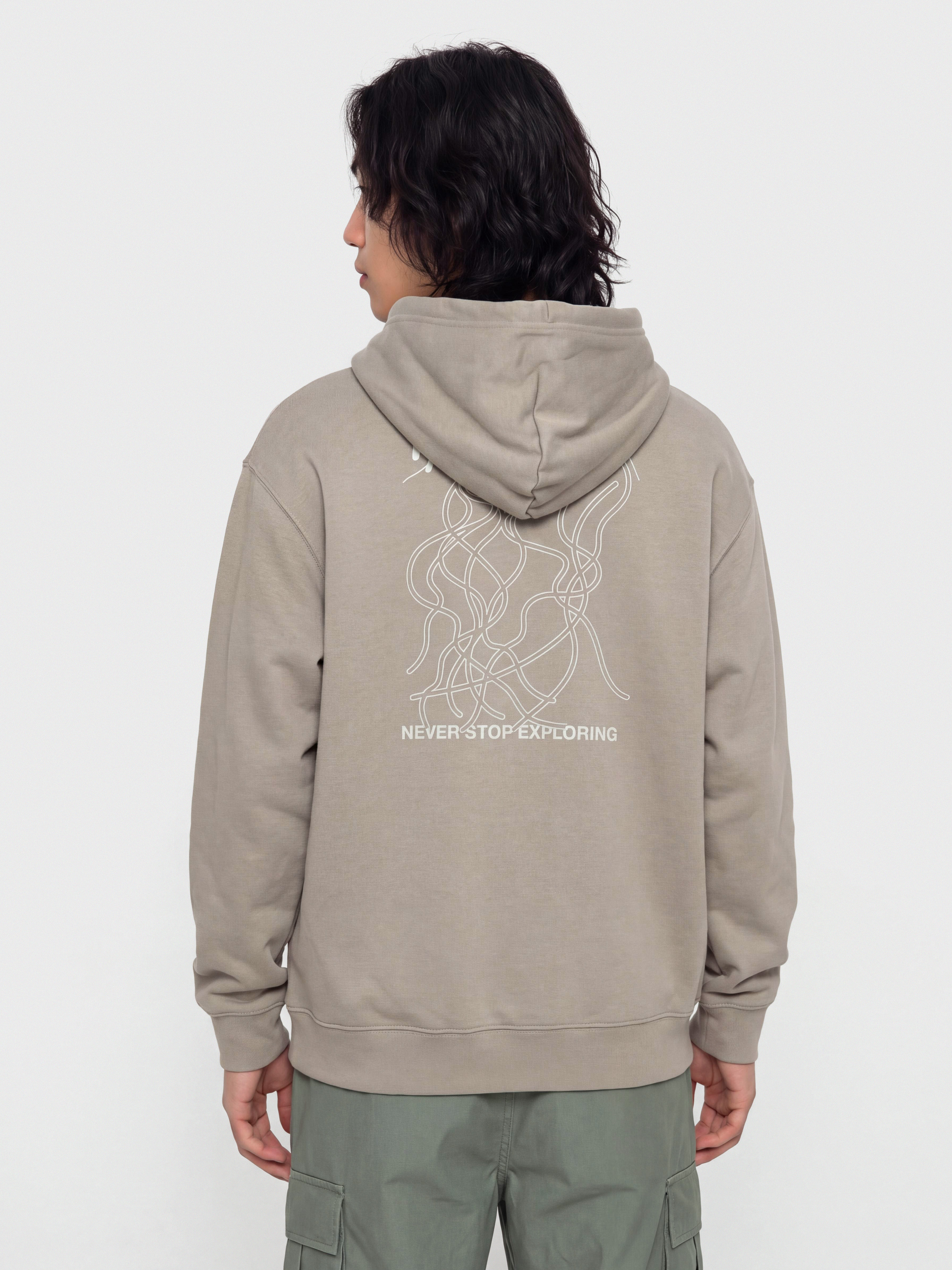 The North Face Nse Slopes Relaxed HD Hoodie (stone slab)