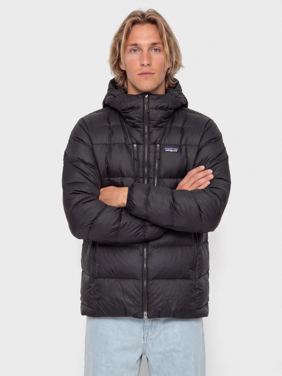 Patagonia Fitz Roy Down HD Jacket (black)