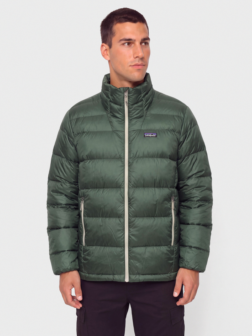 Patagonia Jacket Fitz Roy Down (canopy green)