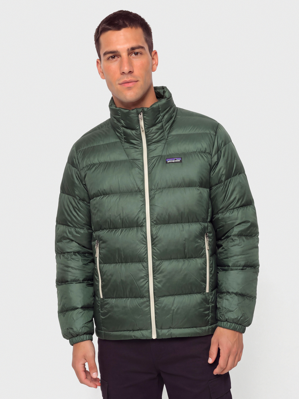 Patagonia Jacke Fitz Roy Down (canopy green)