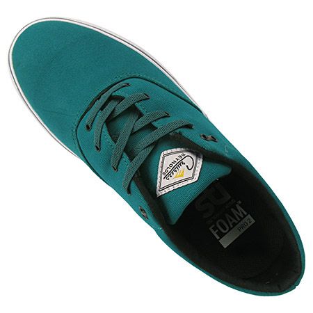 Emerica Shoes Reynolds Cruisers (turquoise)