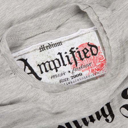 Amplified T-shirt Rolling Stones Silver Dmnte 