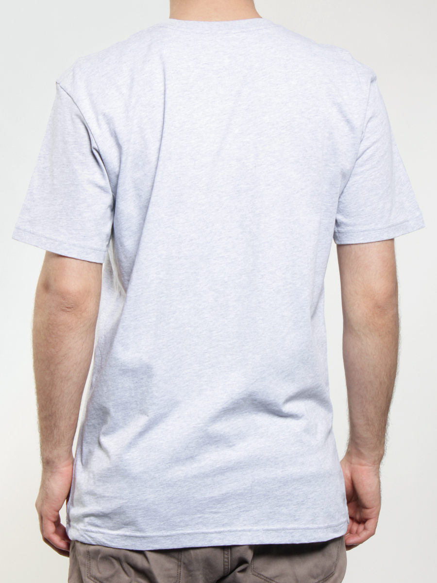 DC T-shirt SC (grey)